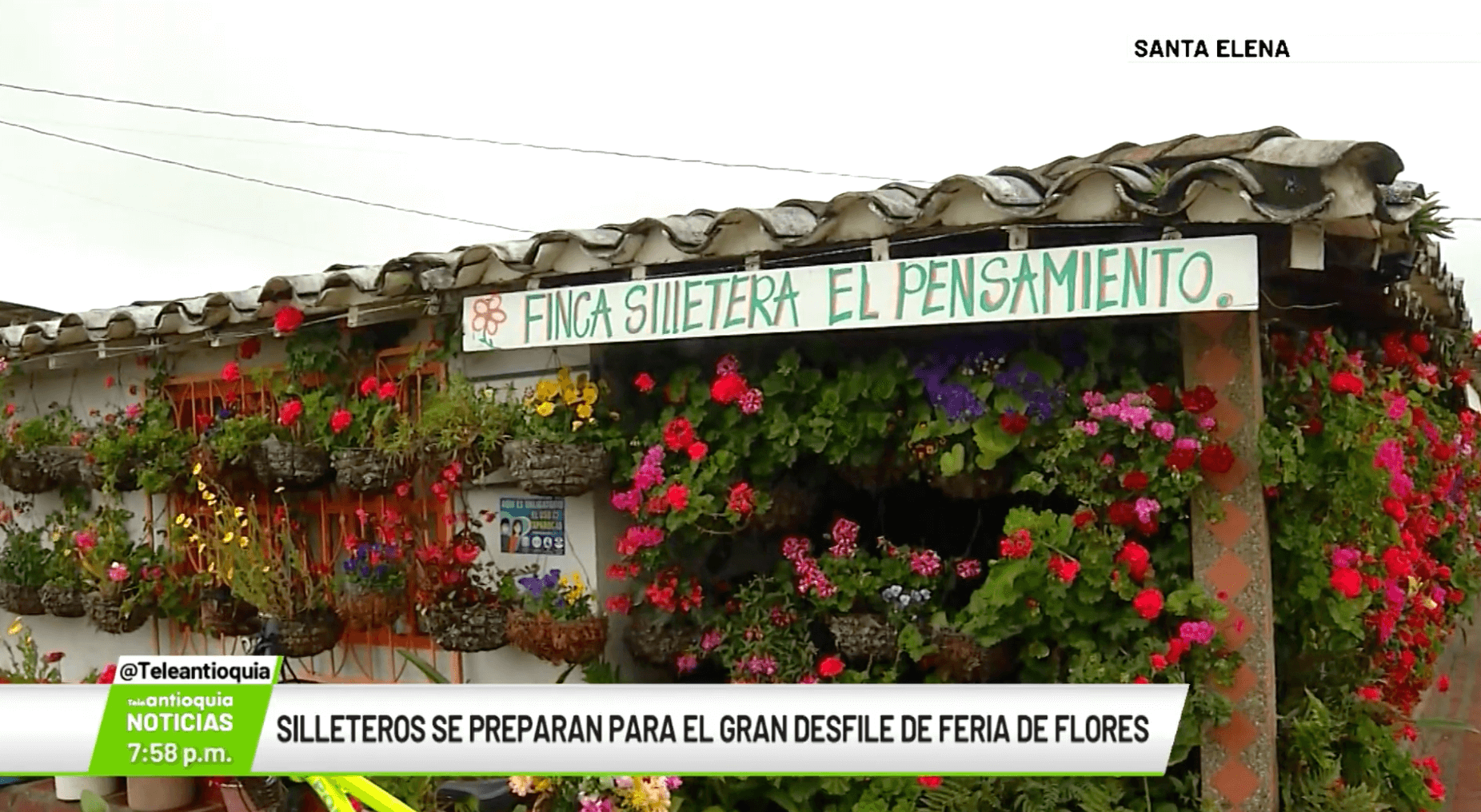 Silleteros se preparan para el gran desfile de Feria de Flores