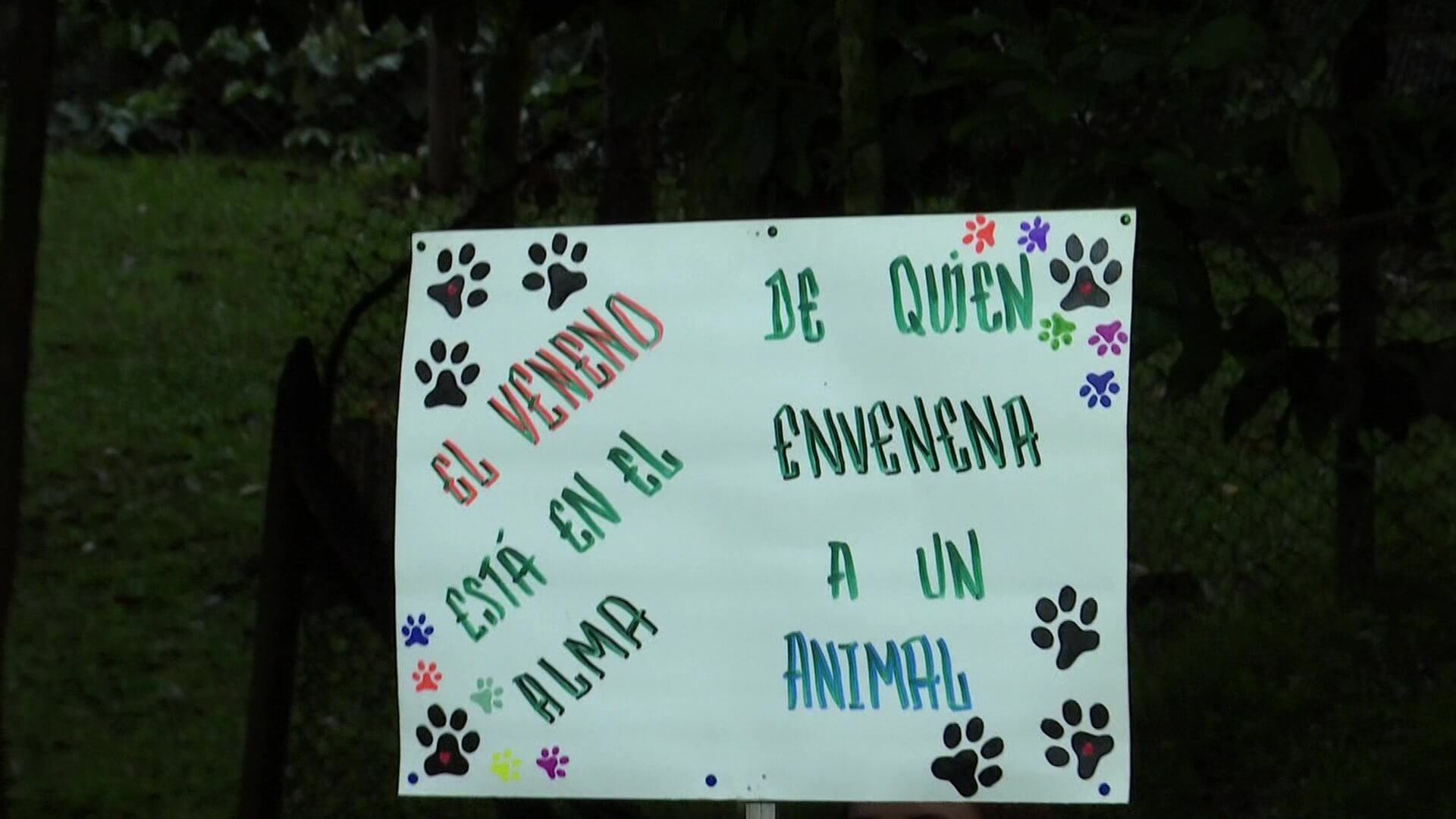 Solidaridad tras envenenamiento de tres mascotas