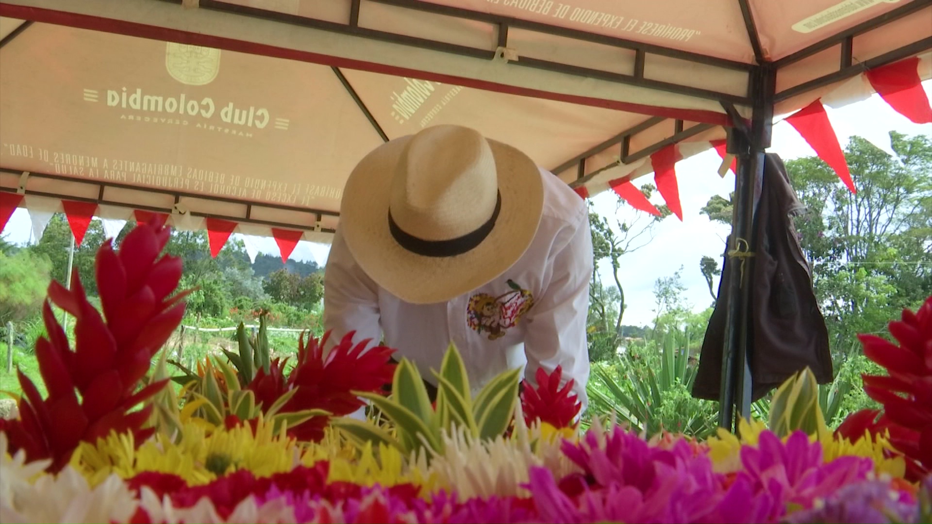 Fincas silleteras, una tradición intacta