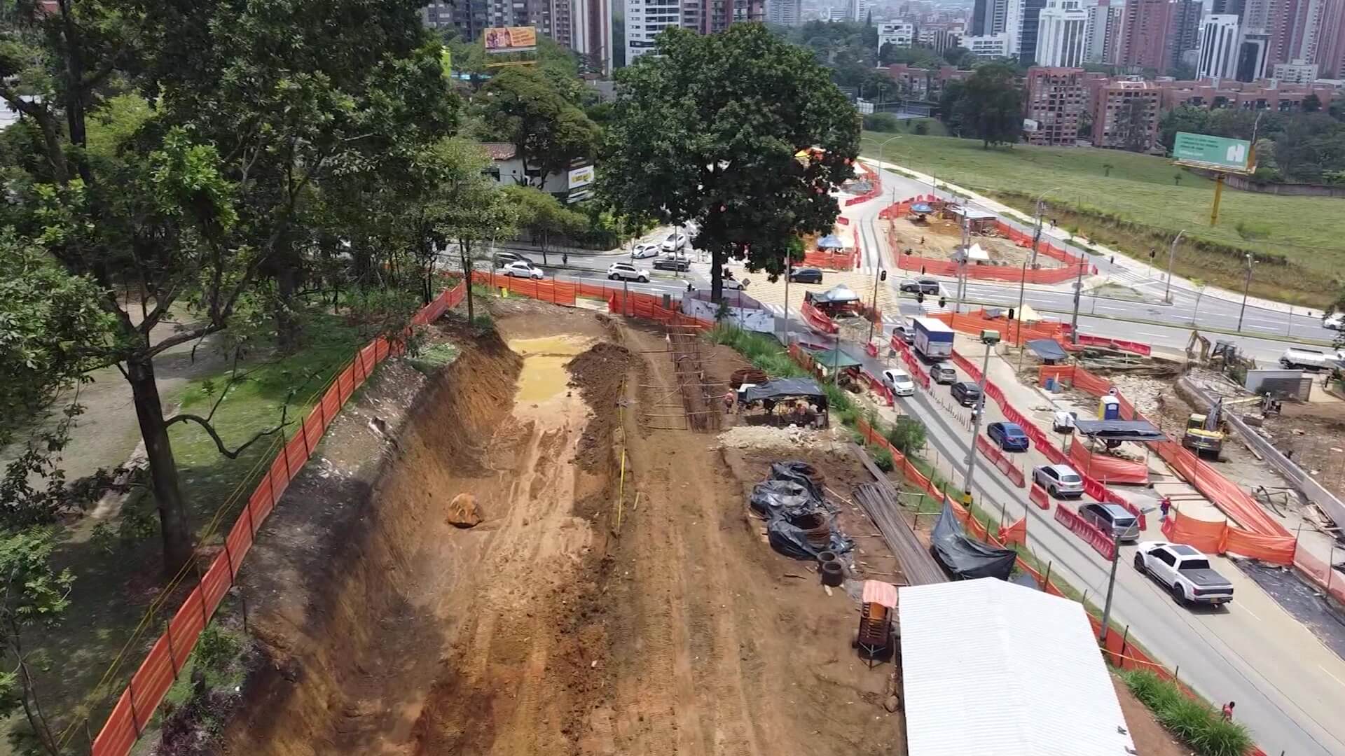 Árbol patrimonial conservará su lugar en obras de valorización