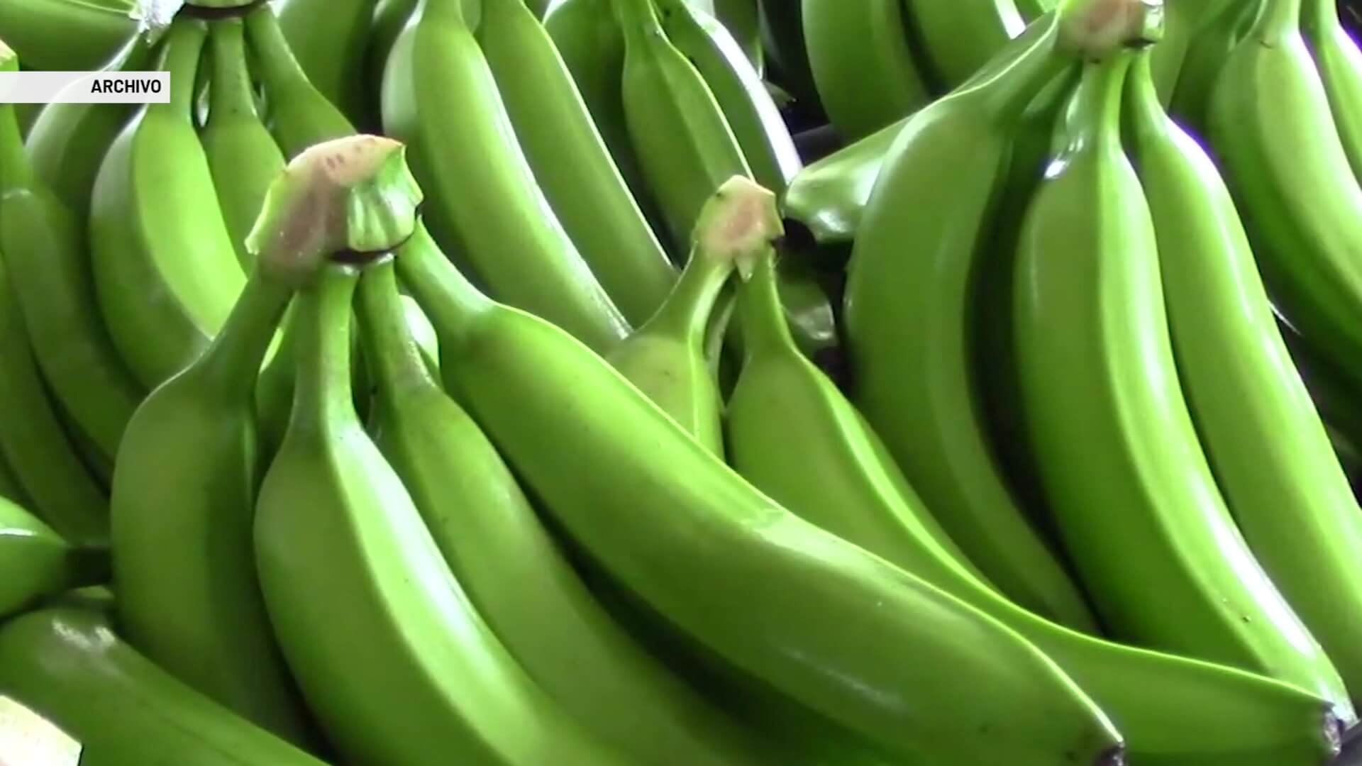 Industria bananera, preocupada por costos de producción