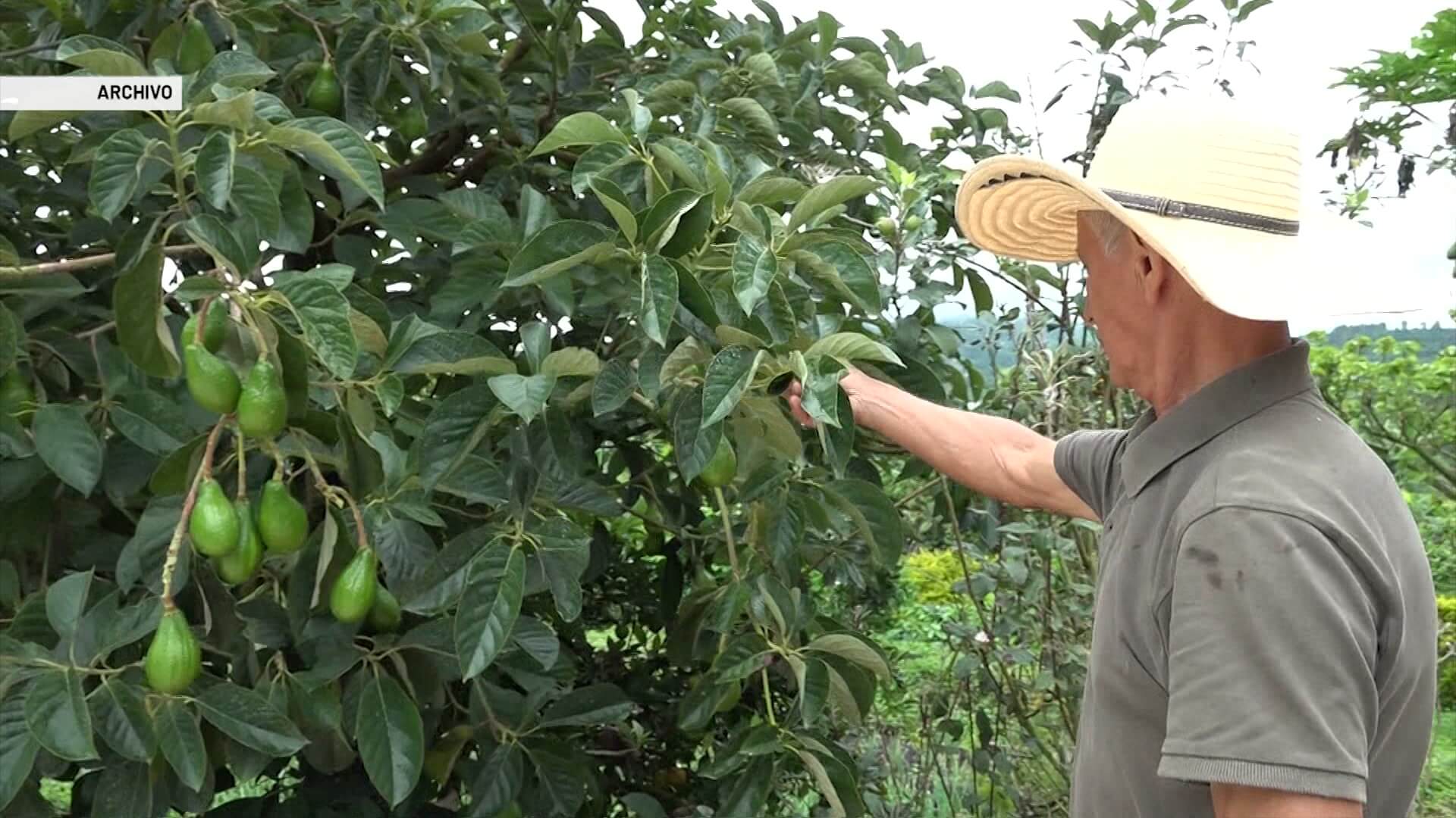 Inician diálogos regionales para soñar el futuro del agro