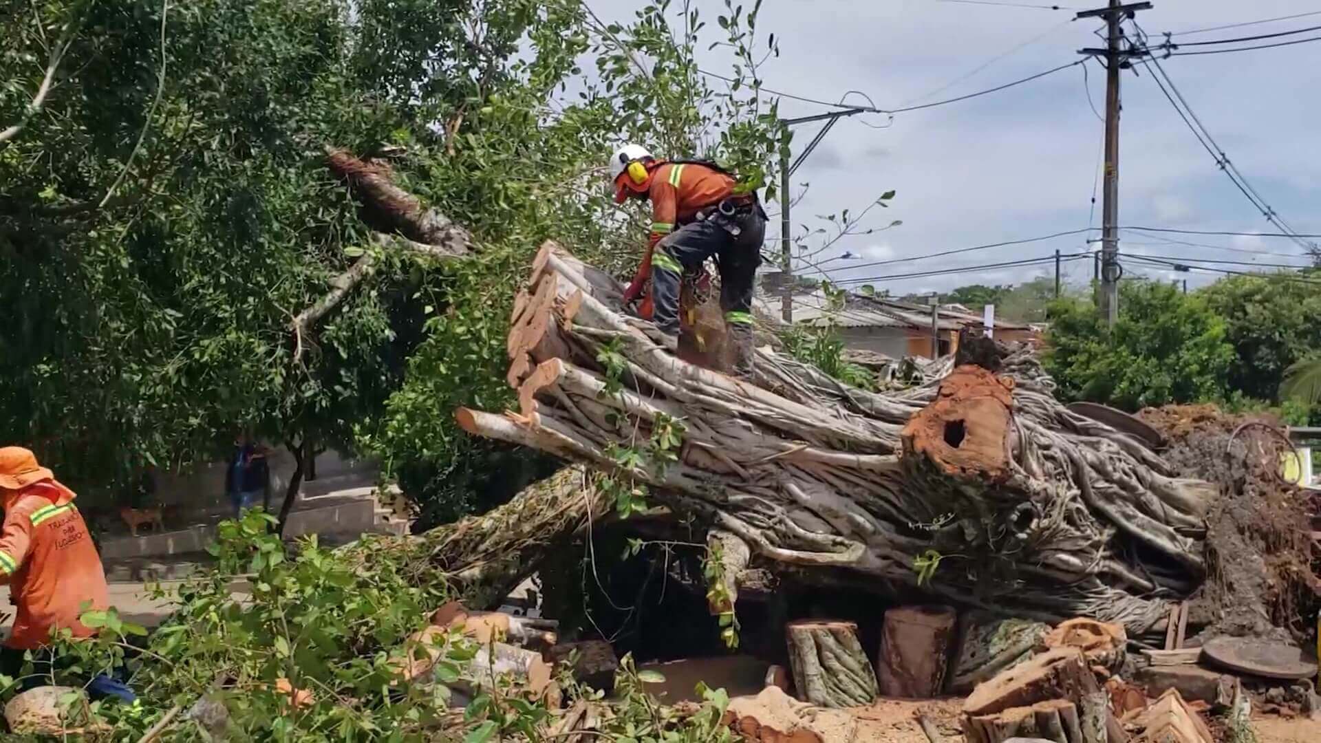 Lluvias y vientos dejaron cientos de damnificados en Caucasia