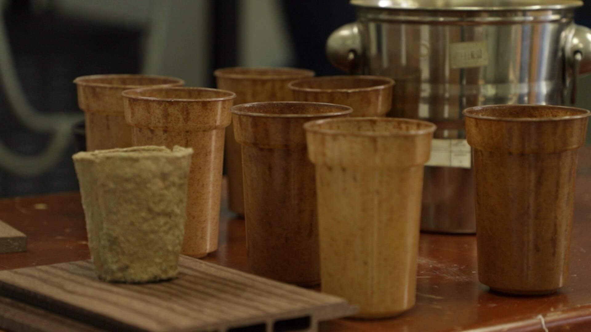 Patentan vaso biodegradable con residuos de café