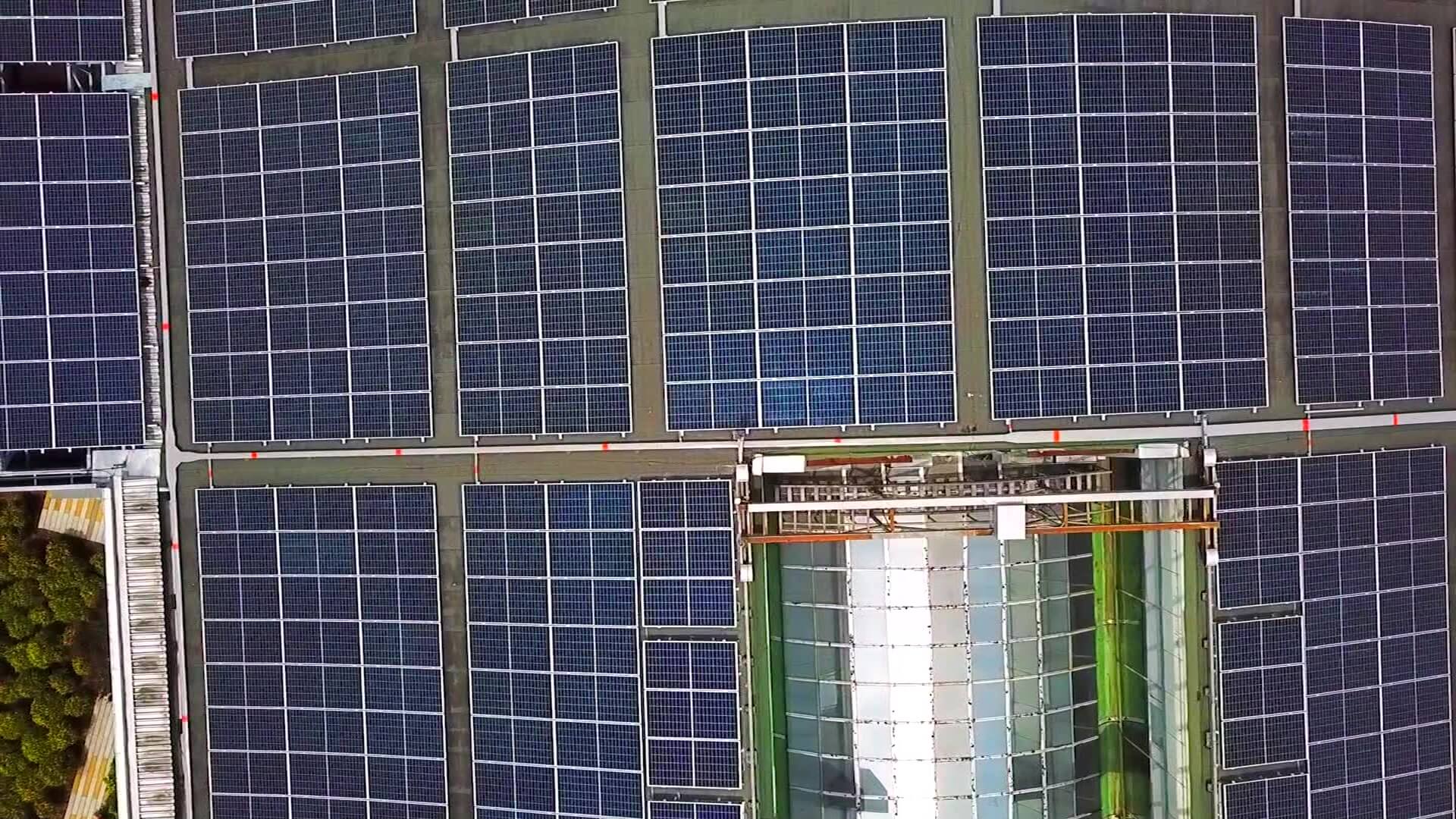 Sede principal de EPM tiene paneles solares