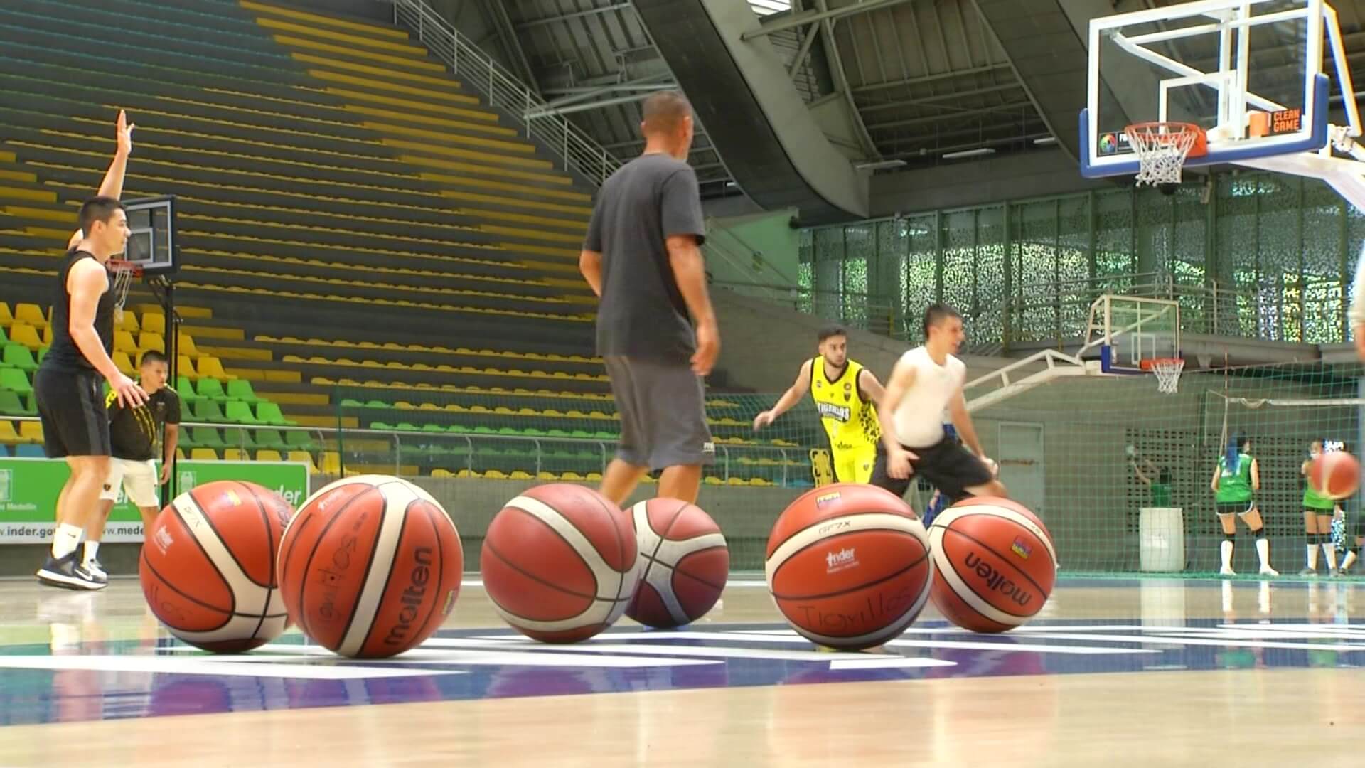 Tigrillos consolida su proyecto en el baloncesto colombiano