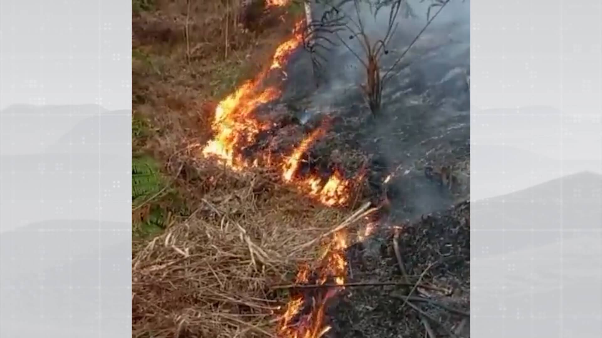 Trece unidades de bomberos atendieron la emergencia