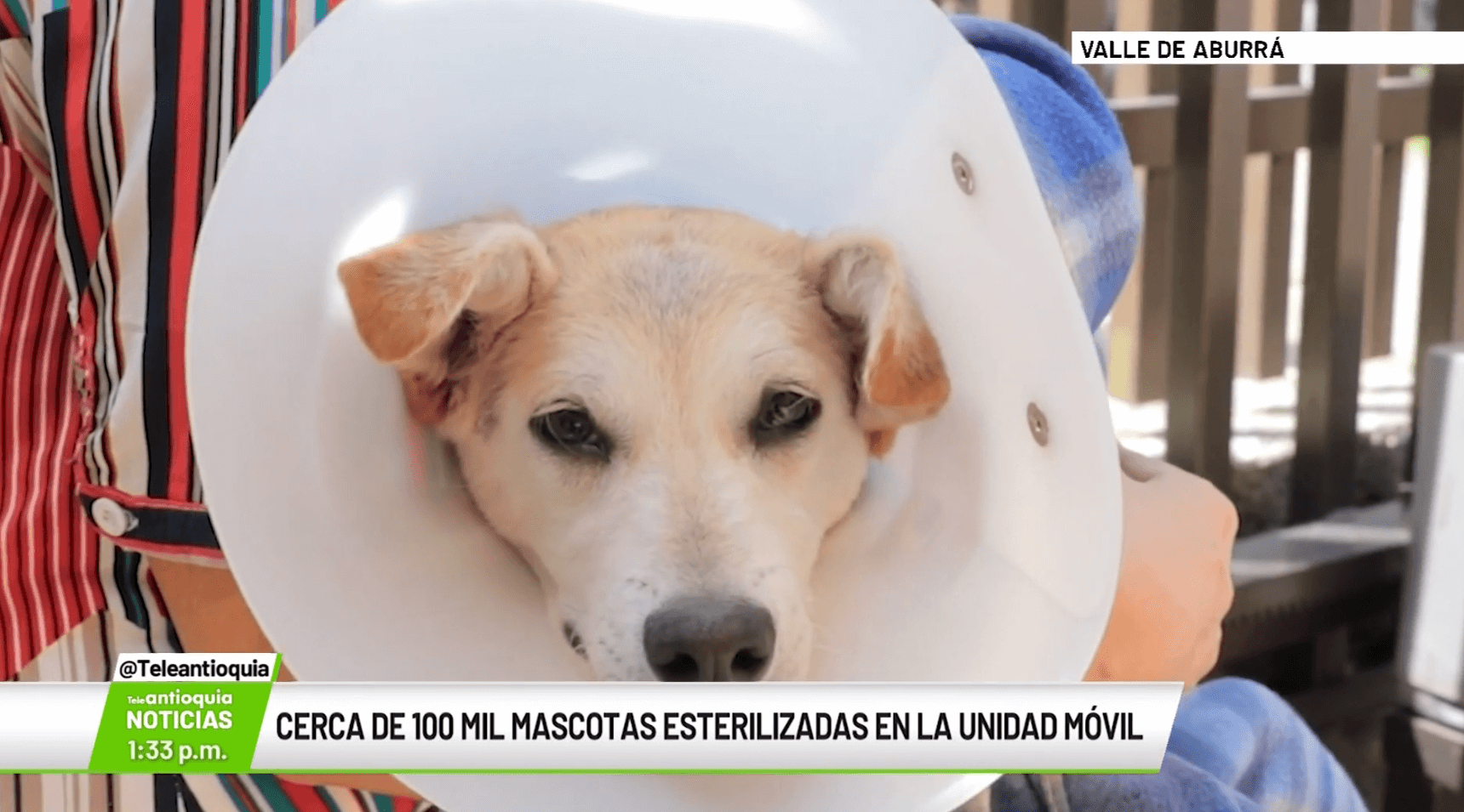 Cerca de 100 mil mascotas esterilizadas en la unidad móvil