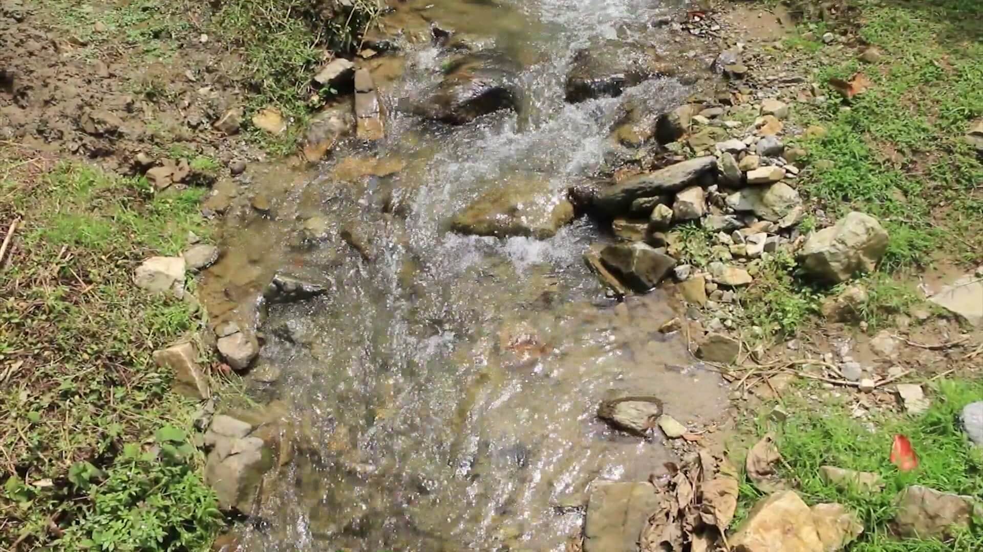Protección del agua que abastece el Valle de Aburrá