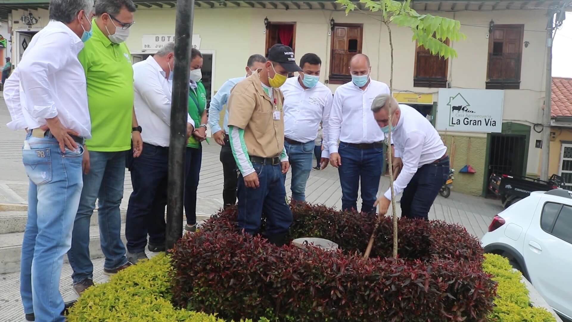 Sembrado el árbol número 10 millones del cuatrienio