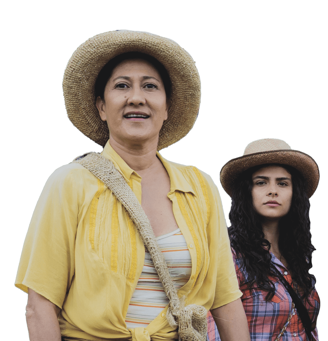 Las Flores de la Guerra