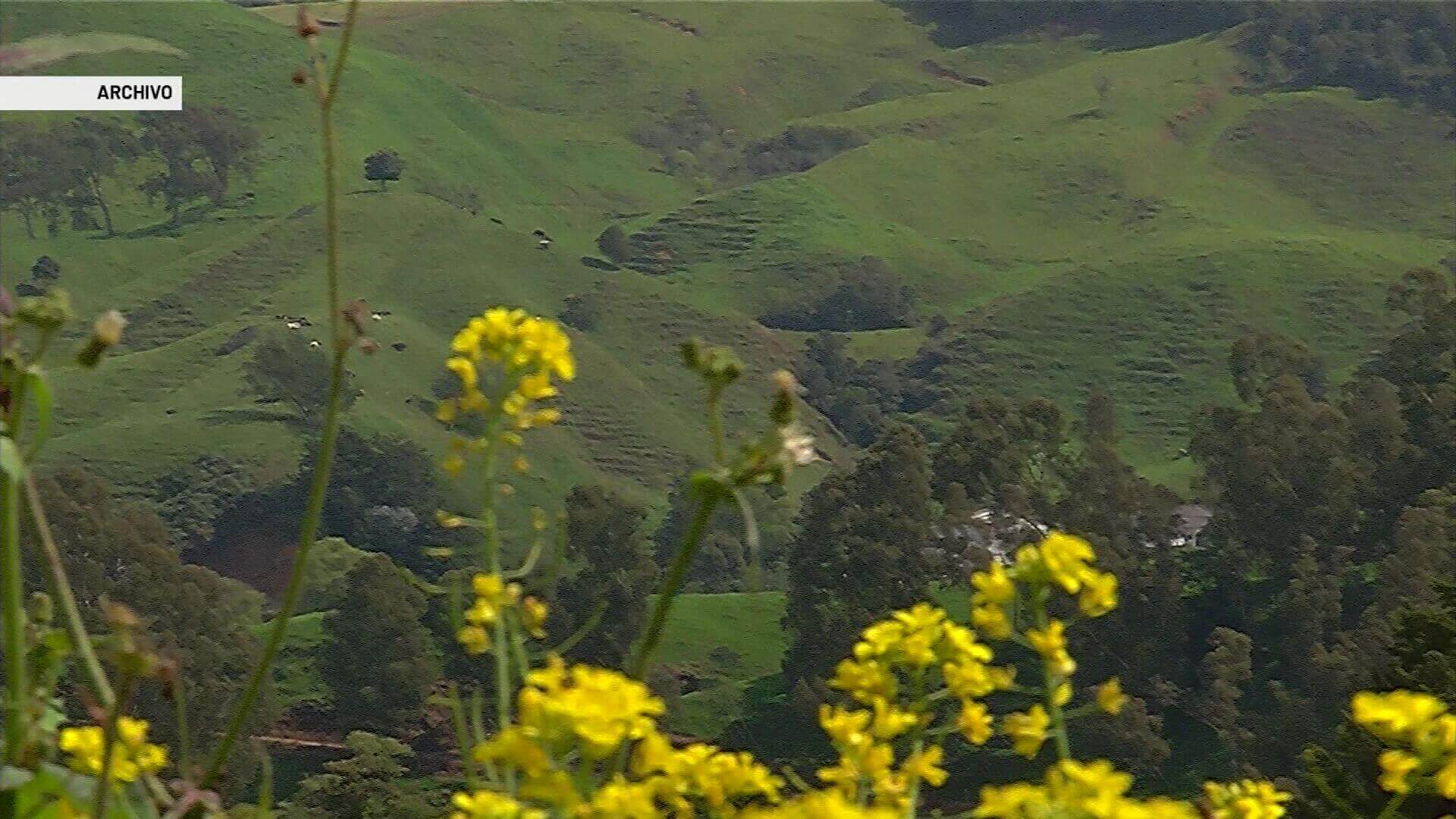 Dieron aval de restitución de tierras a 15 municipios