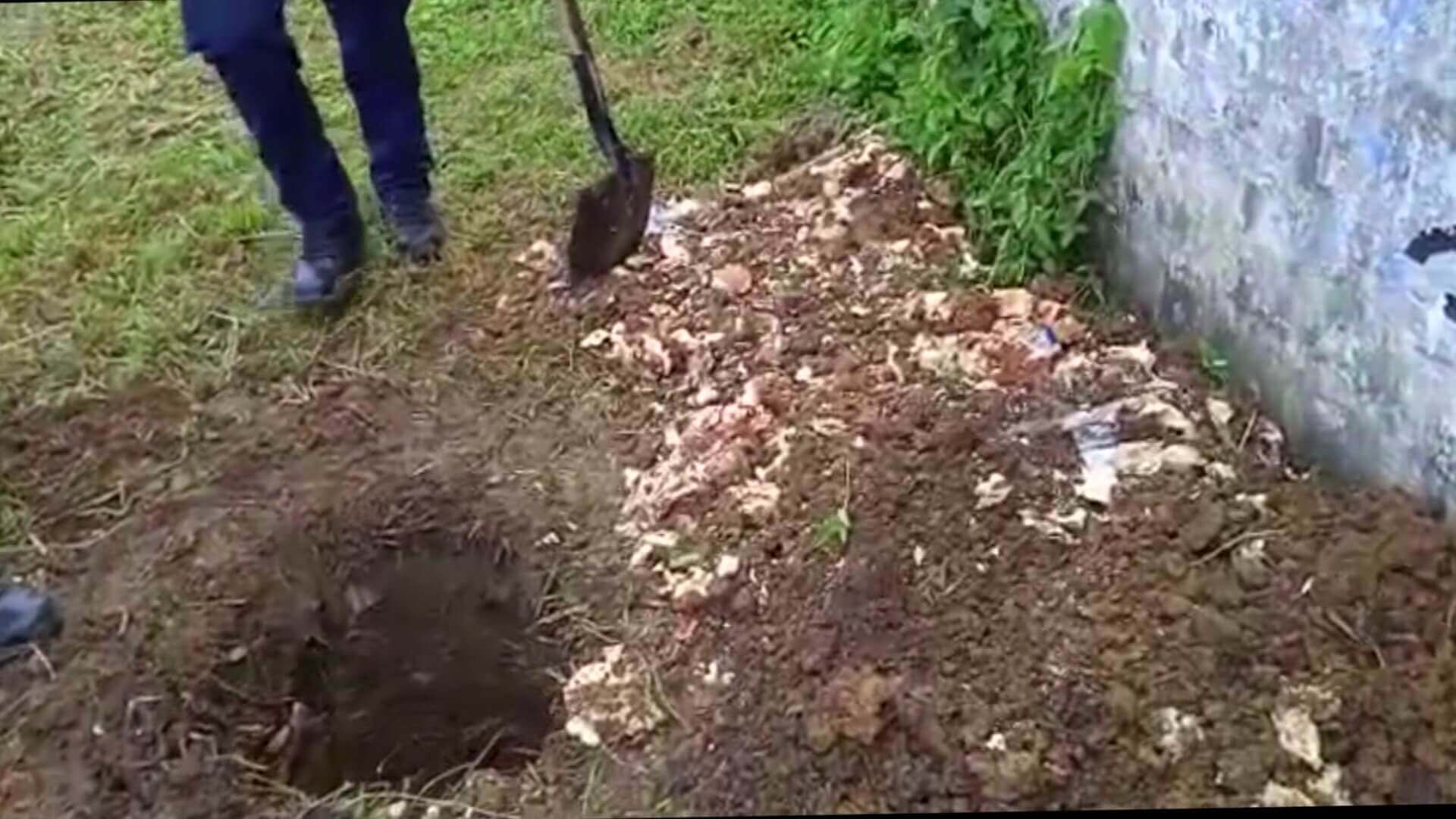 Encuentran alimentos enterrados en patio de un colegio