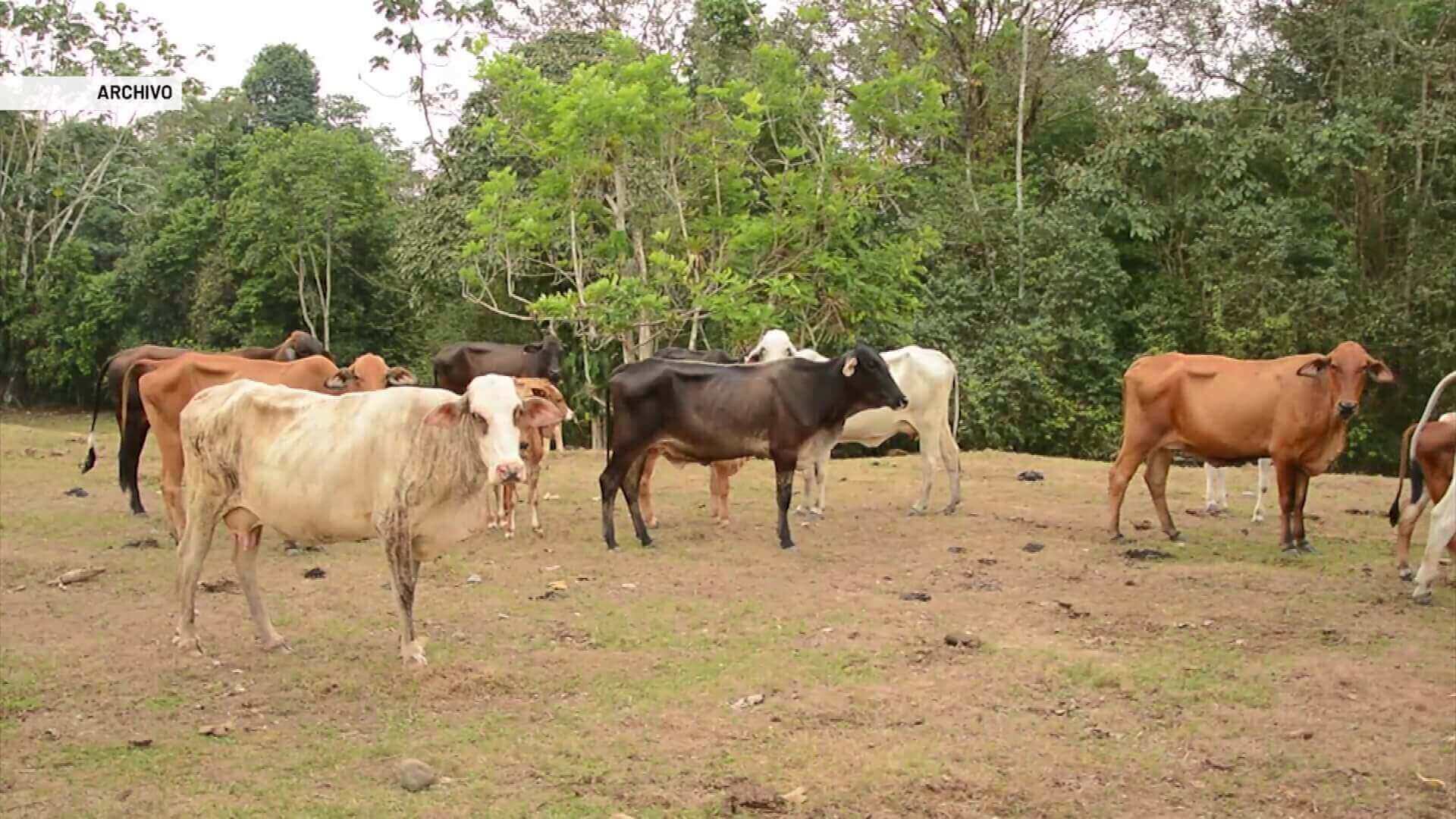 Planta de beneficio de ganado, dos semanas cerrada