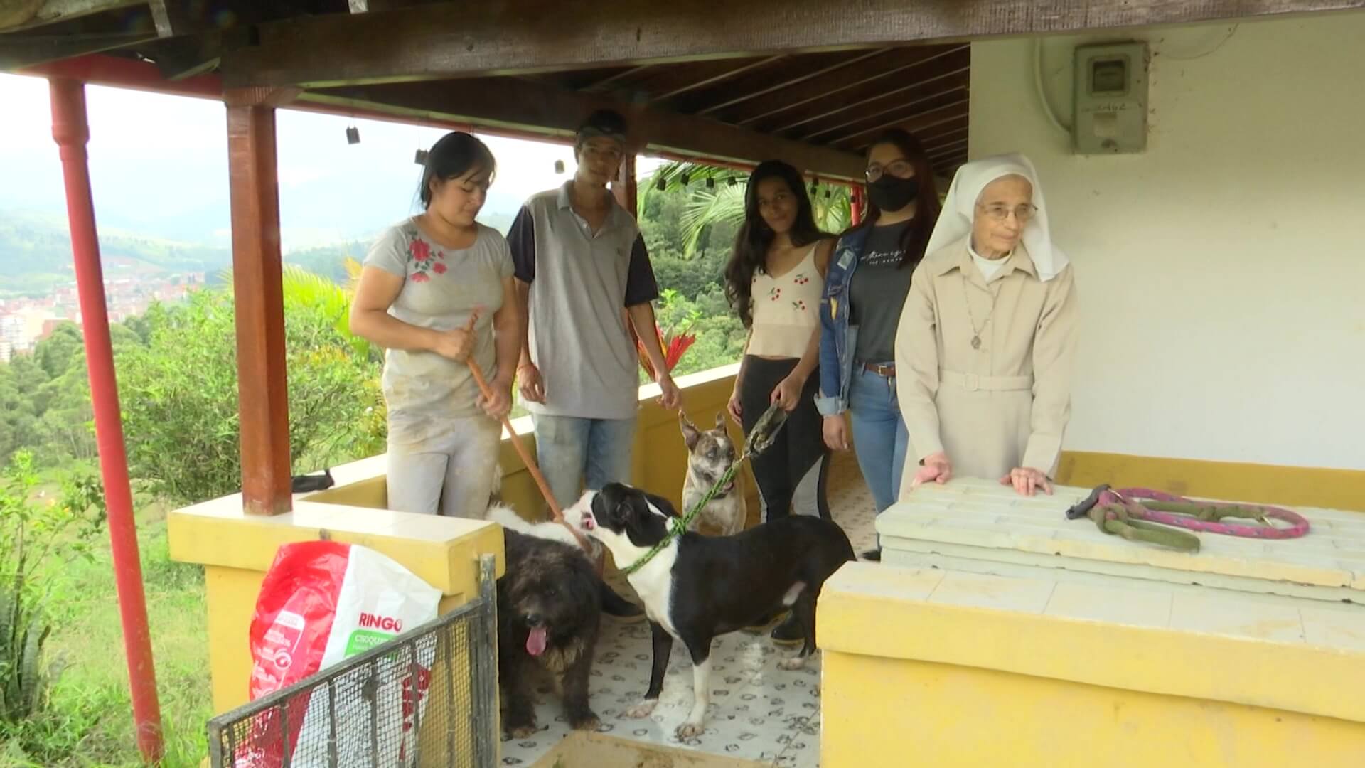 Religiosa busca hogar para catorce perros