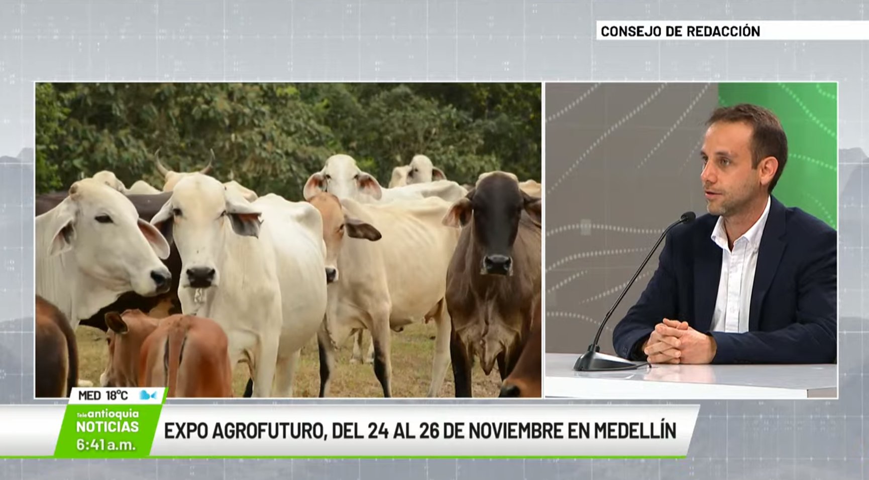 Entrevista con Ricardo Jaramillo, presidente junta directiva Expo Agrofuturo
