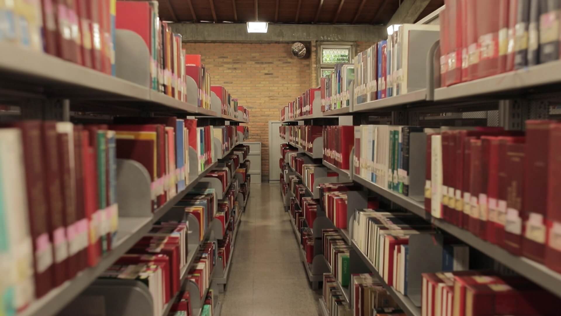 Segundo pasaje del libro de la Universidad de Medellín