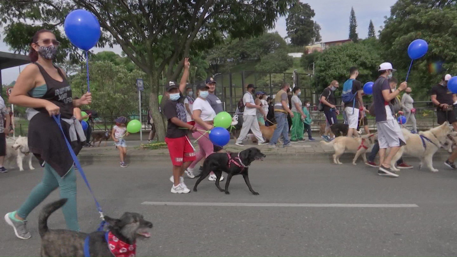 Caravana multicolor de peludos en Itagüí