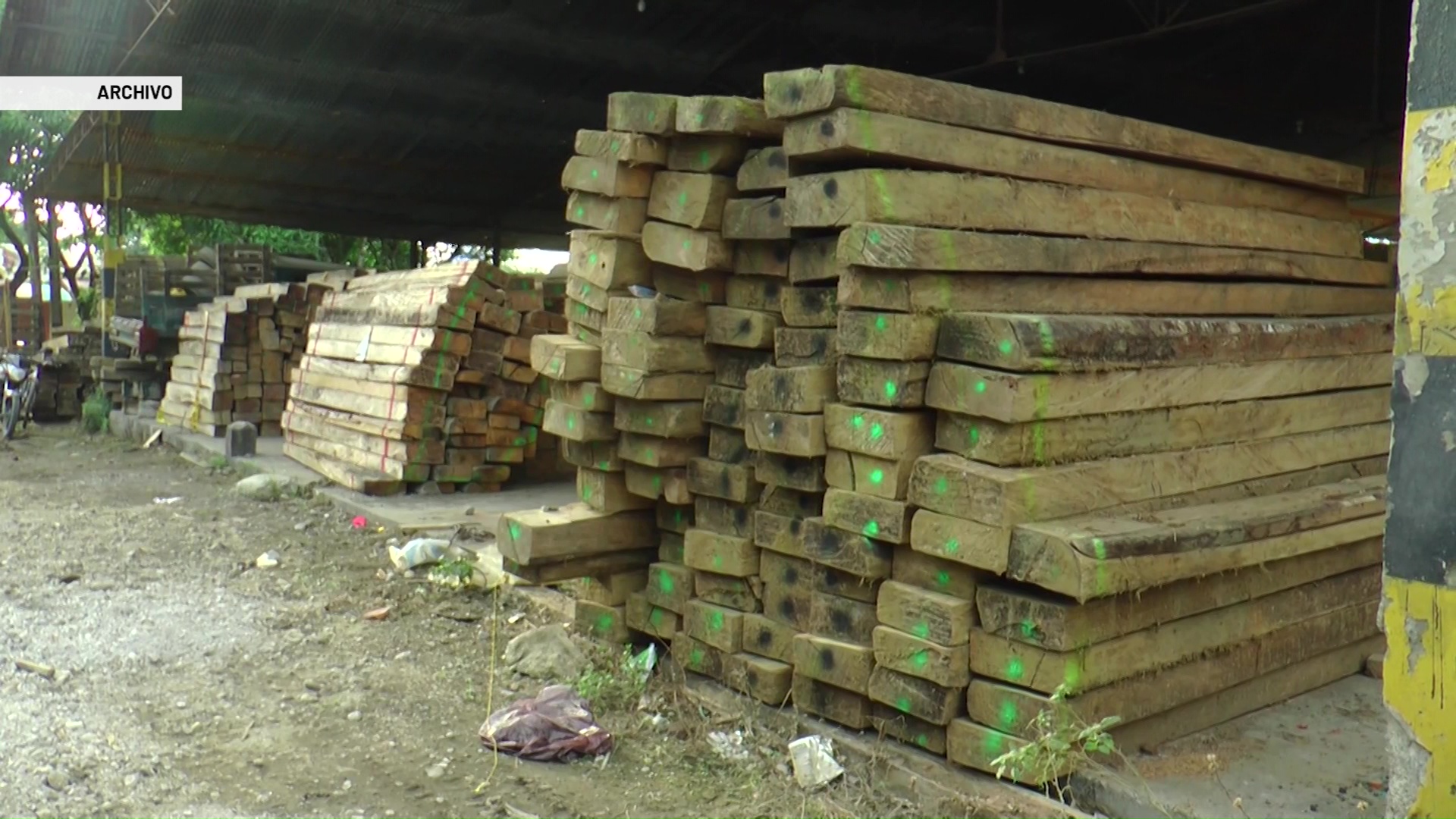Policías capturados por tráfico de madera y deforestación