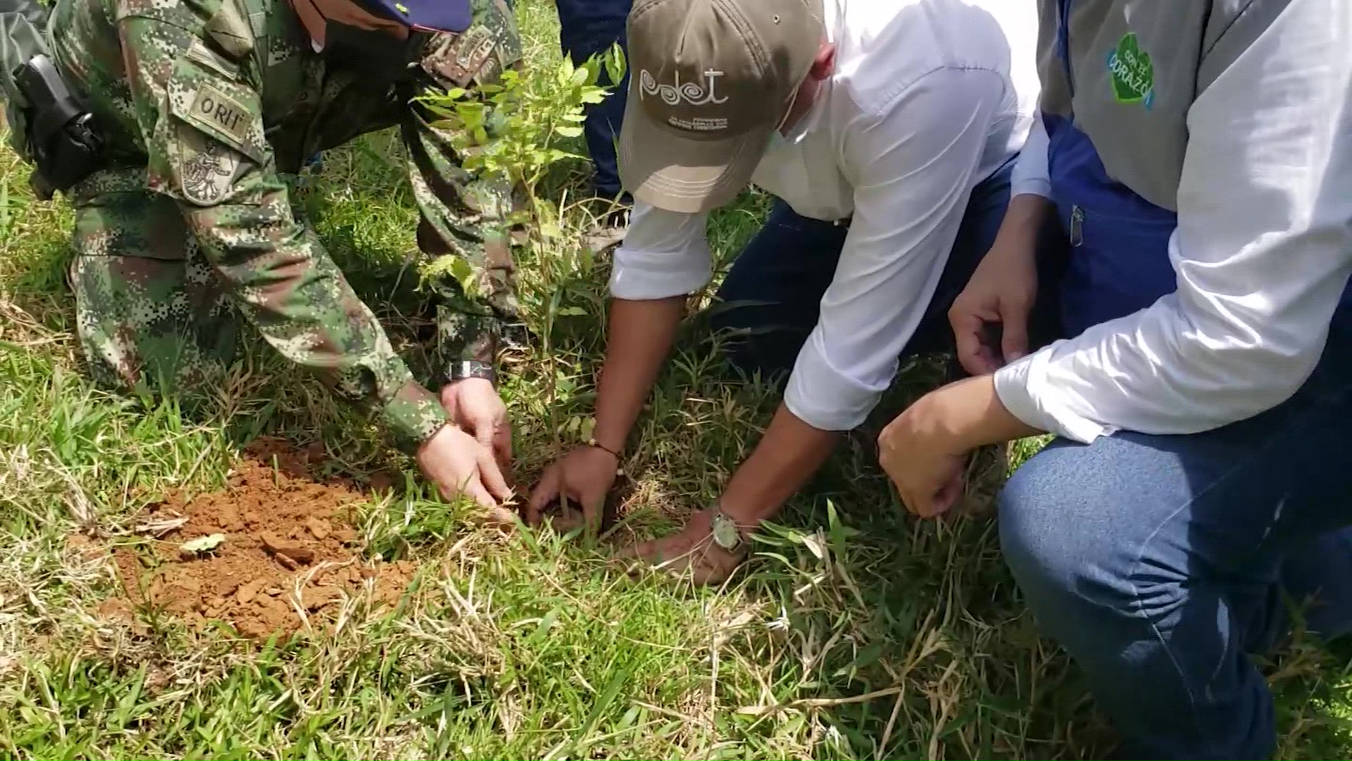 Siembra de árboles en zonas degradadas por la minería