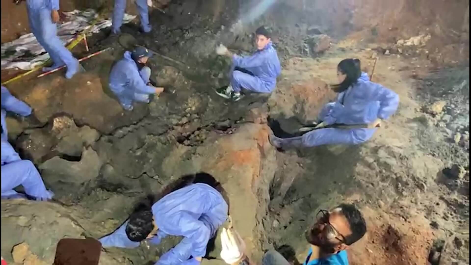 Exhuman restos de elefanta en la hacienda Nápoles