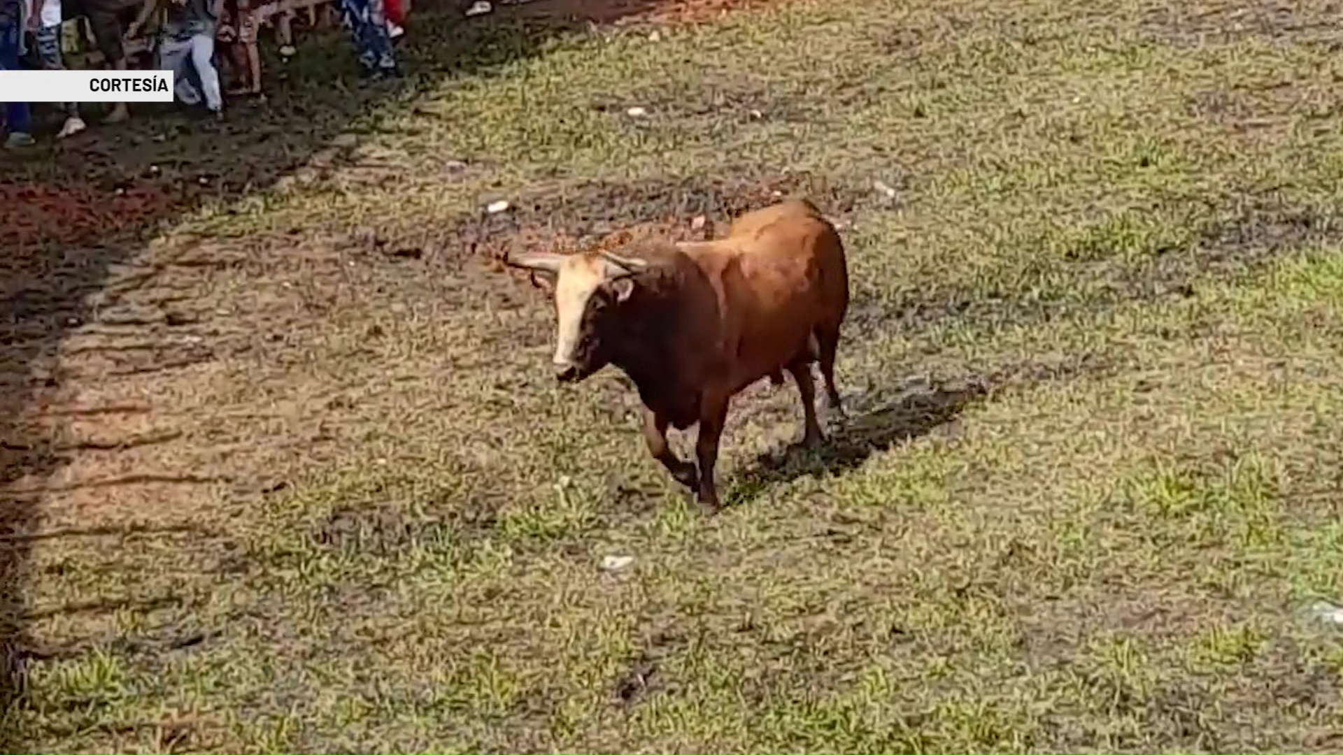 Polémica por la realización de corralejas en Caucasia