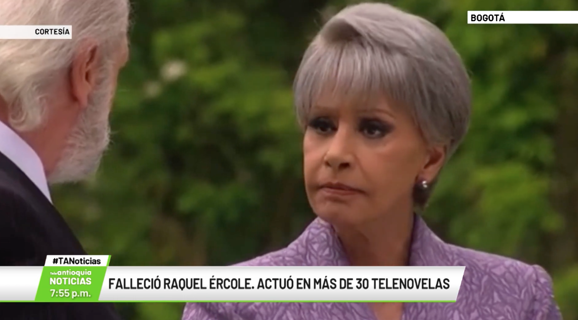 Falleció Raquel Èrcole.  Actuó en más de 30 telenovelas