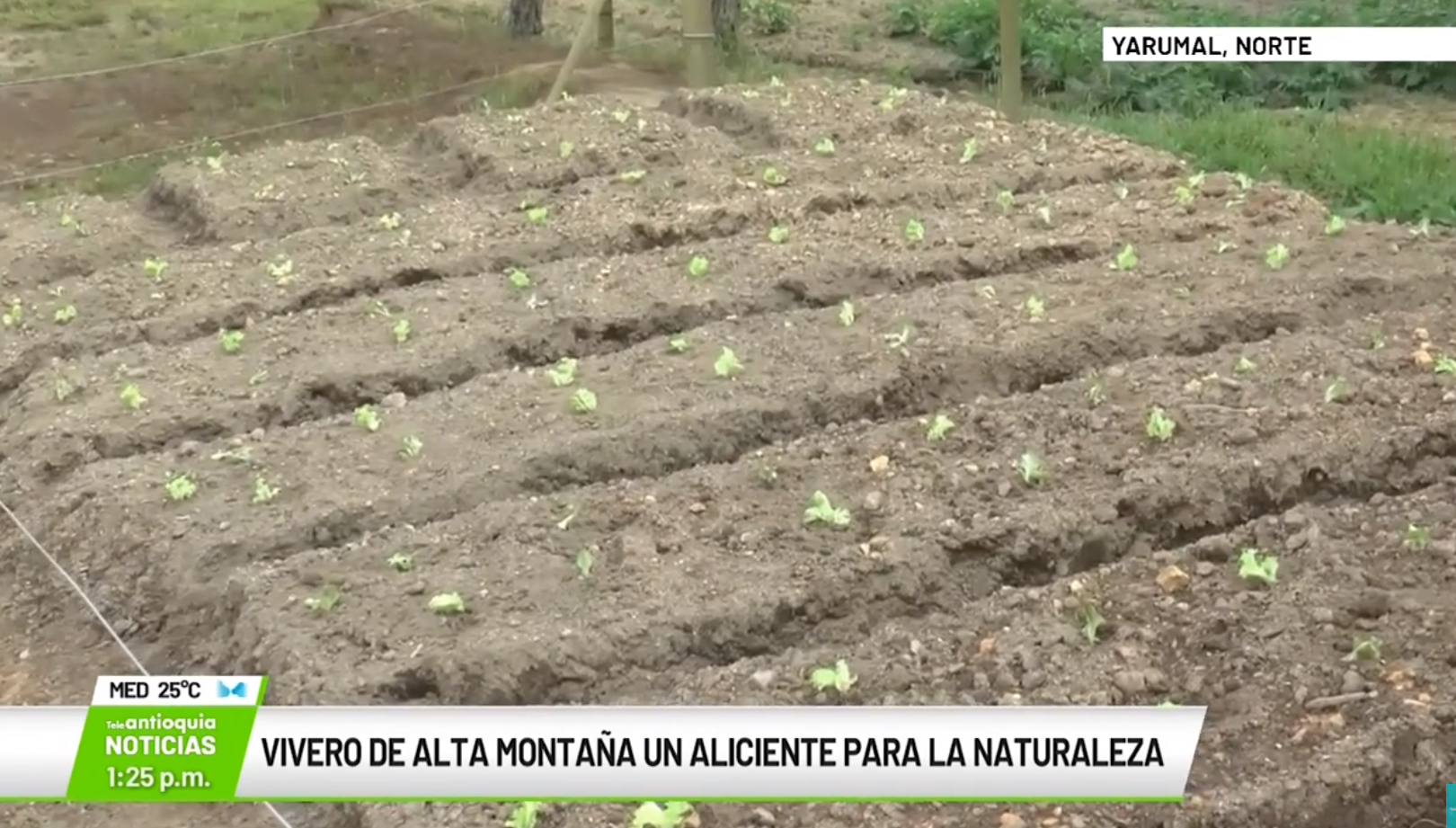 Vivero de alta montaña un aliciente para la naturaleza