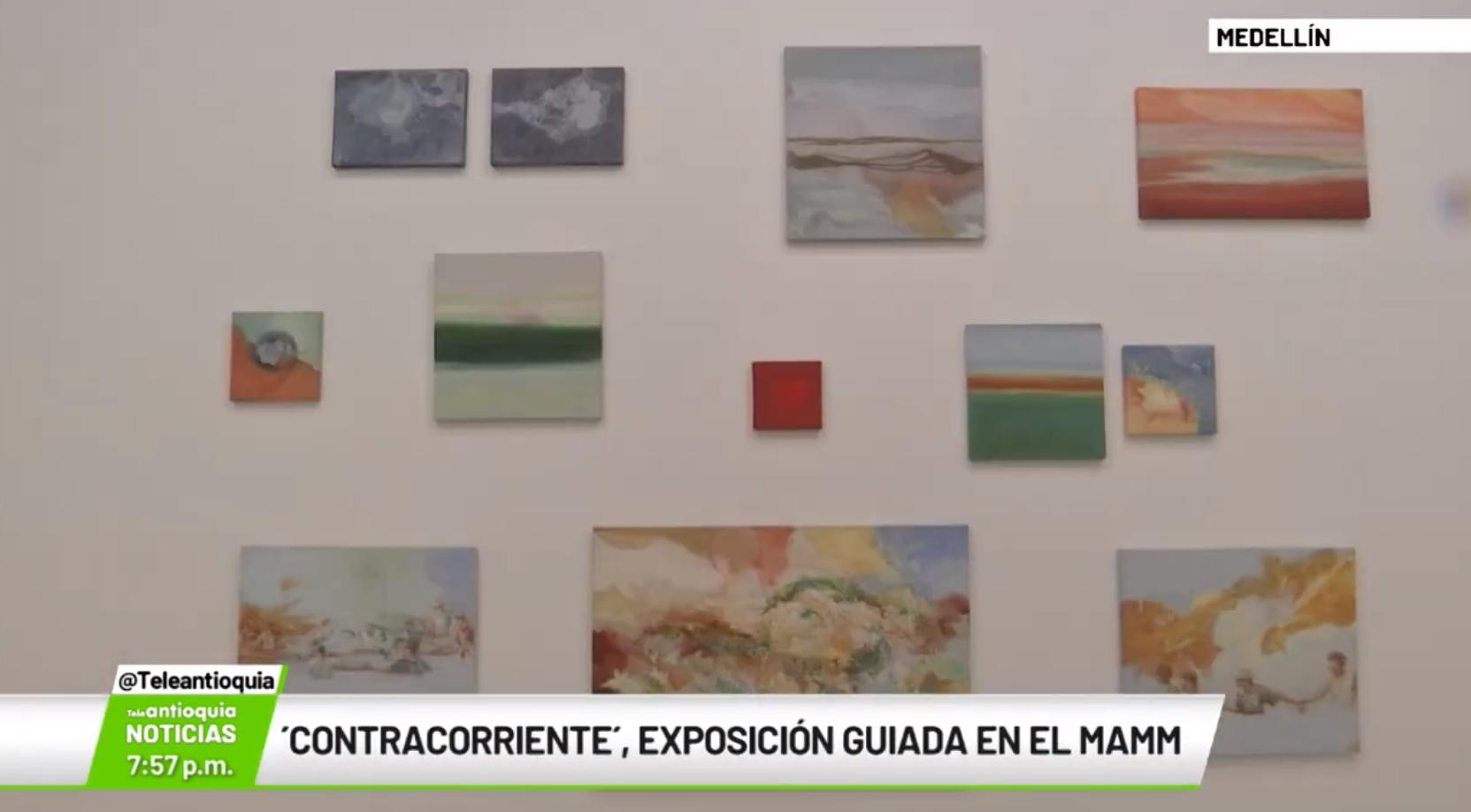 Contracorriente´, exposición guiada en el Mamm