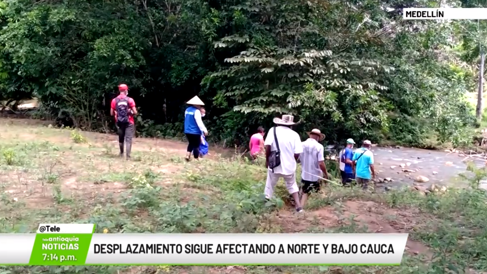 Desplazamiento sigue afectando a Norte y Bajo Cauca