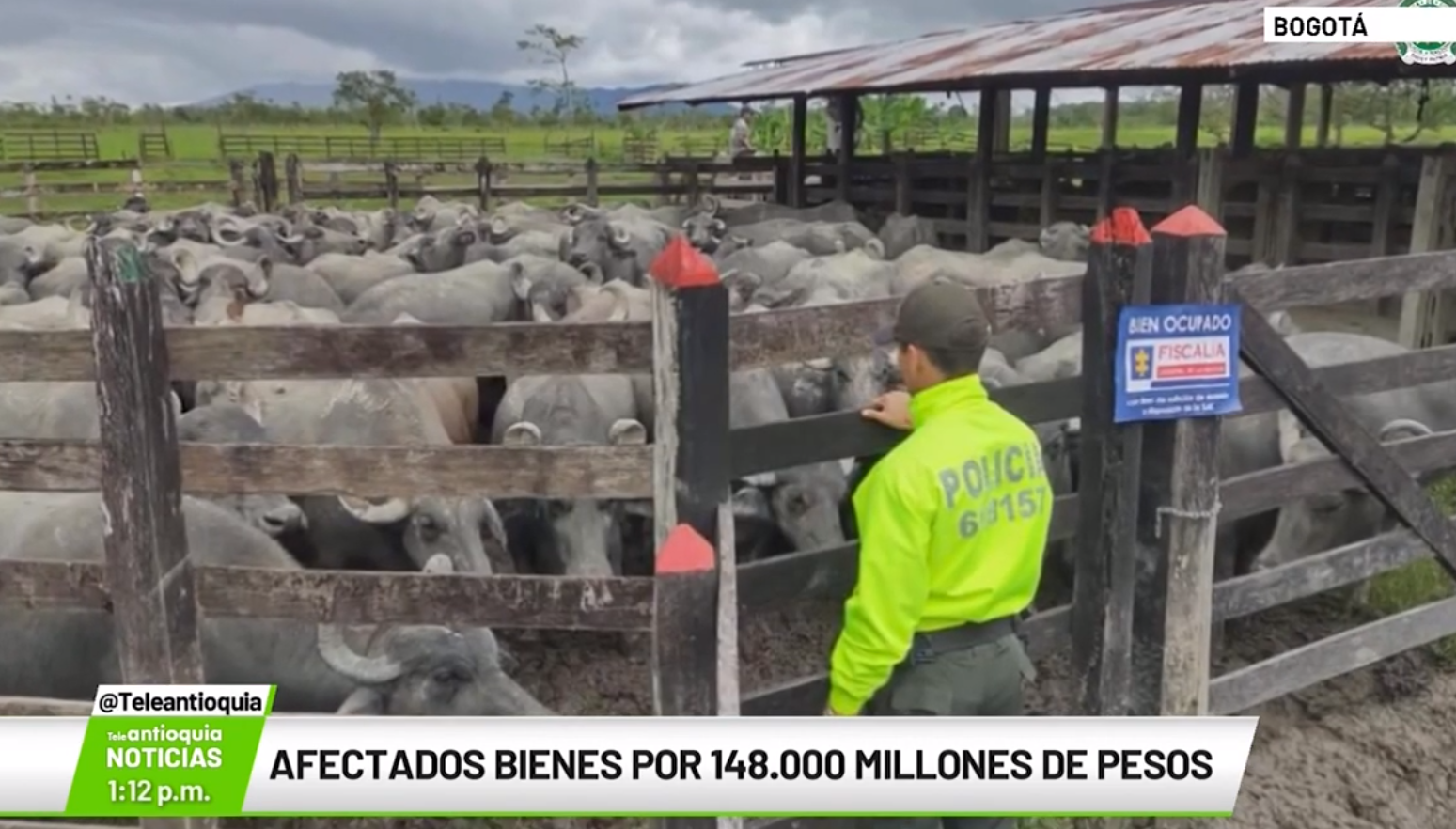 Afectados bienes por 148.000 millones de pesos