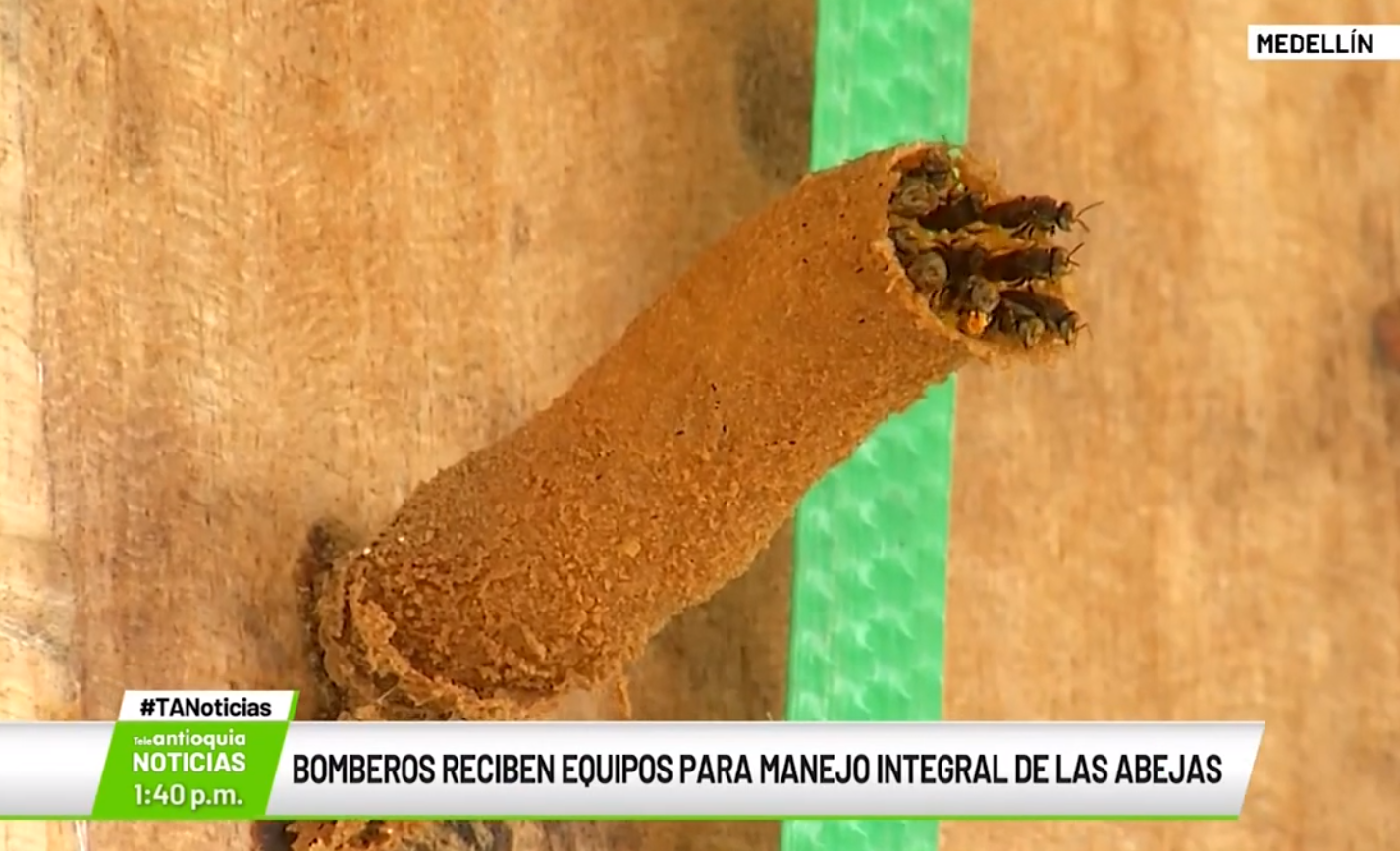 Bomberos reciben equipos para manejo de las abejas