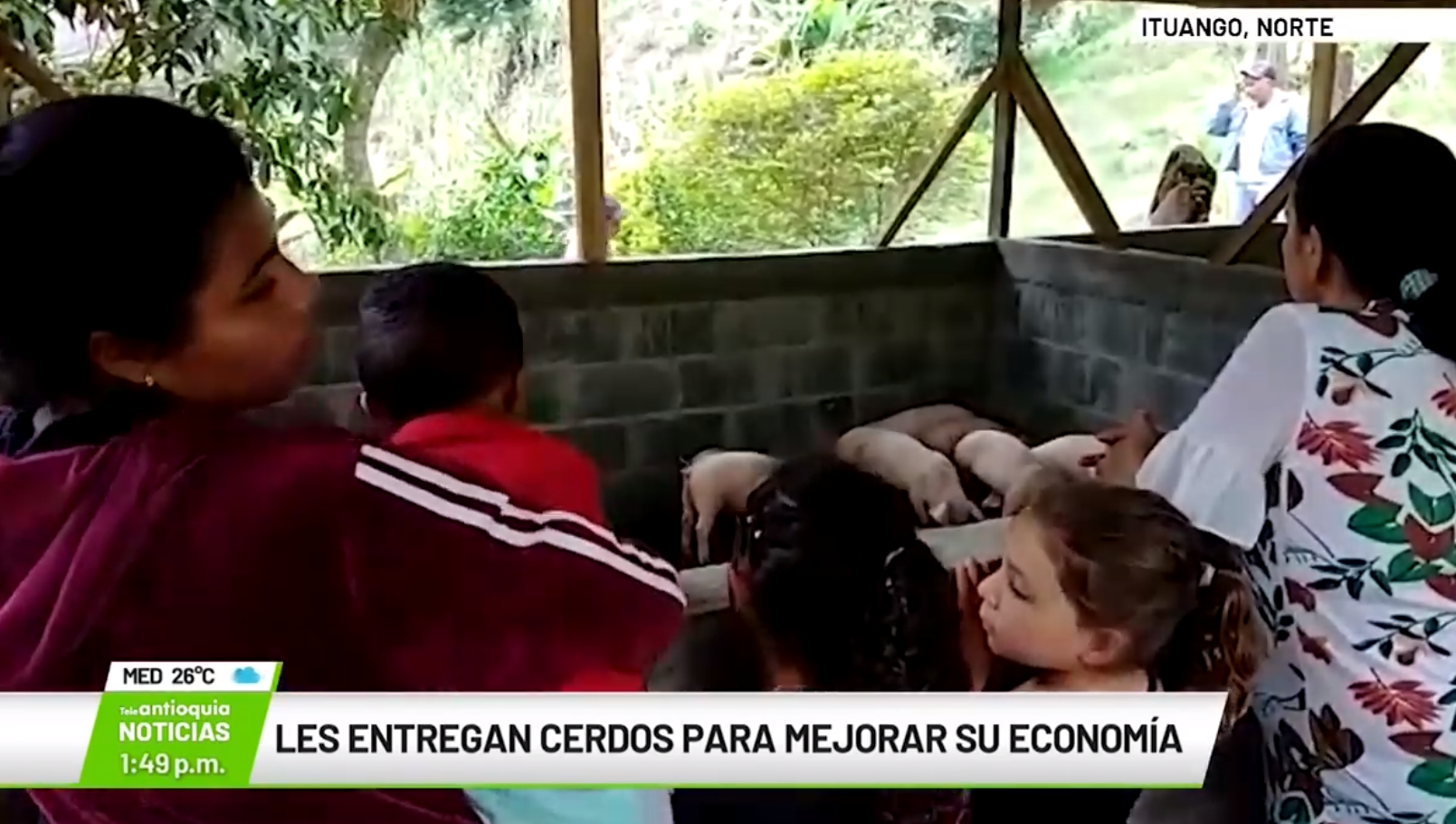 Les entregan cerdos para mejorar su economía