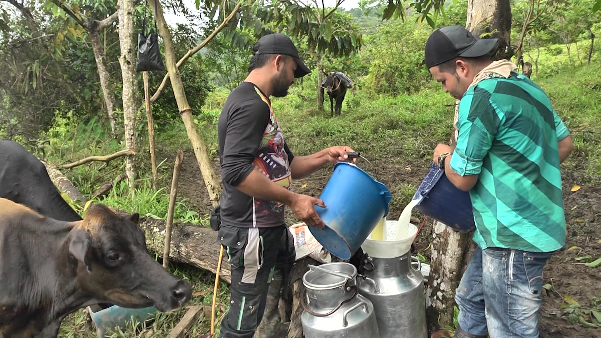 Preocupación por posible escasez de leche