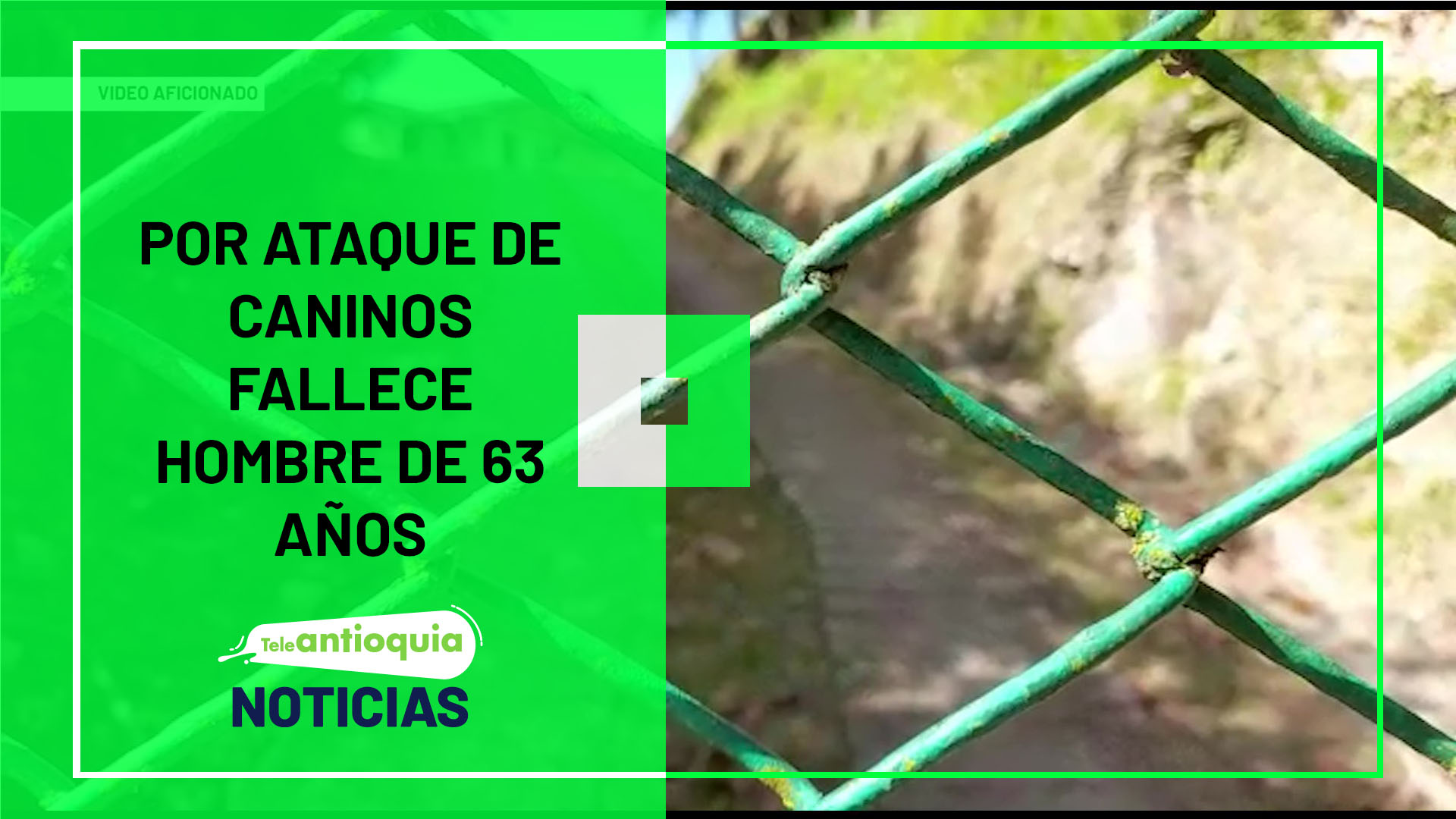 Por ataque de caninos fallece hombre de 63 años