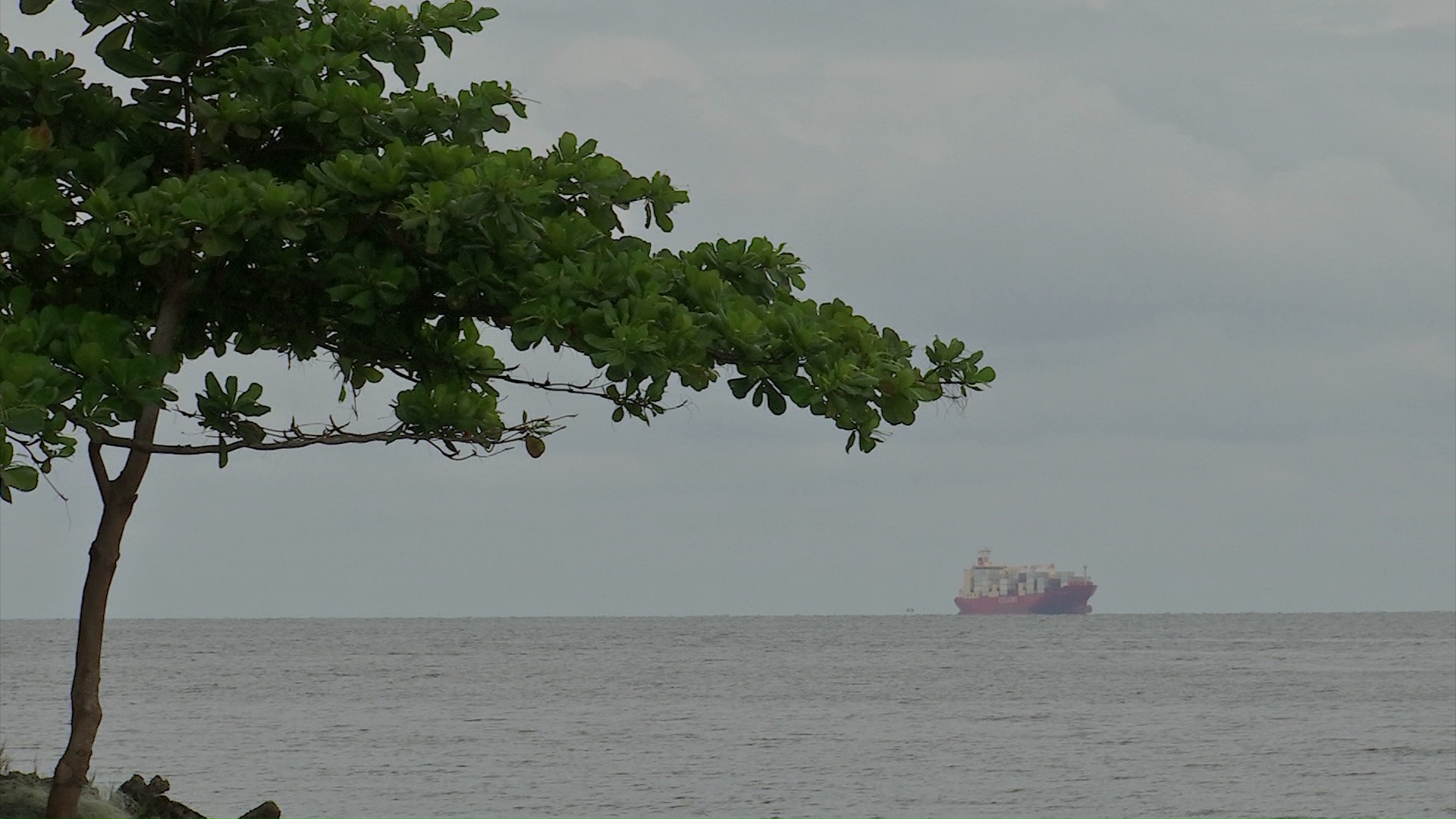 Puerto Antioquia costará 672,4 millones de dólares