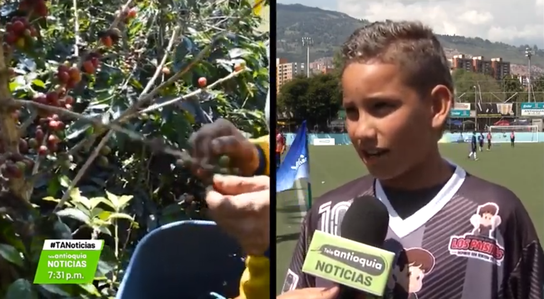 Niño agricultor comenzó a sembrar sus sueños en La Marte