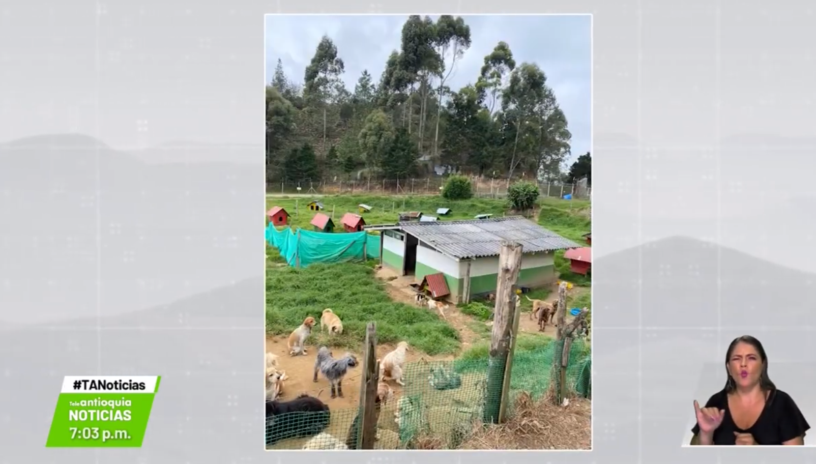 Operativo contra maltrato animal deja cuatro capturados