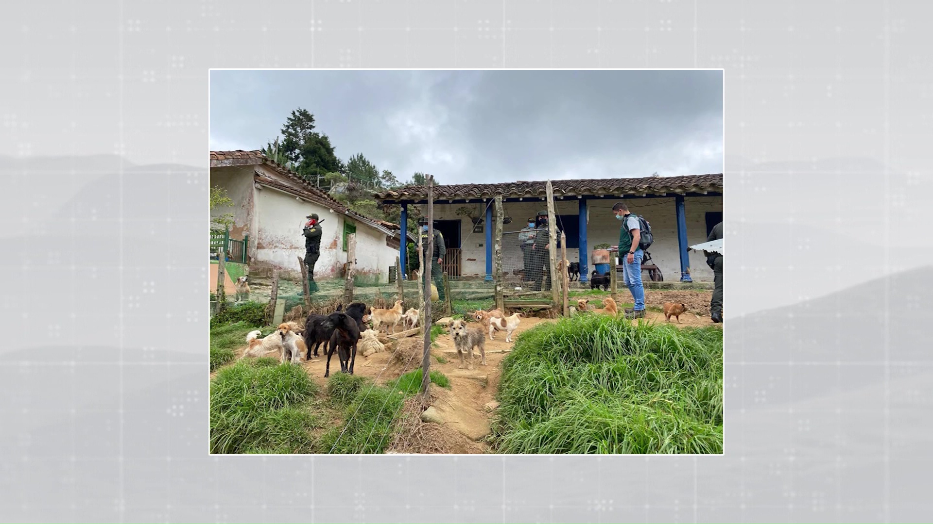 Indignación por el mal estado de animales en una fundación