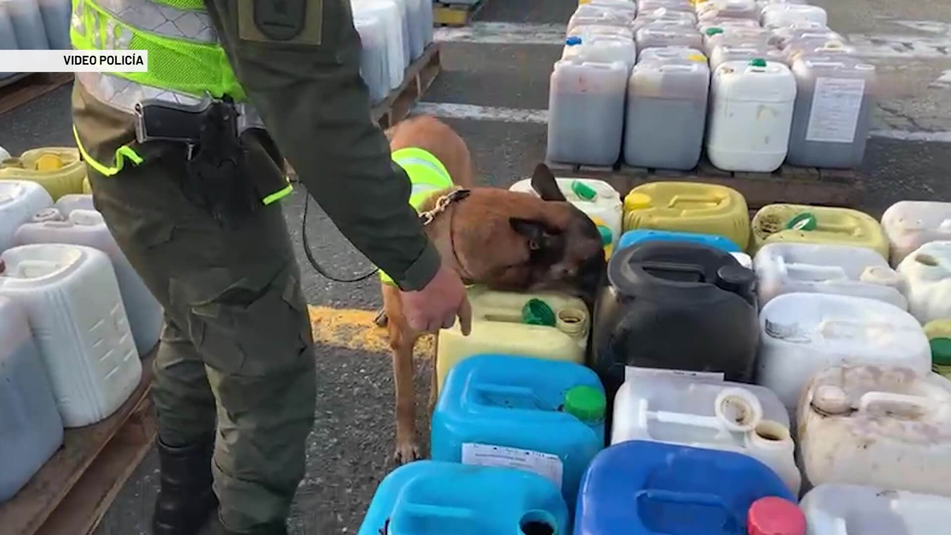 Decomisan cocaína mezclada con melaza y abono orgánico