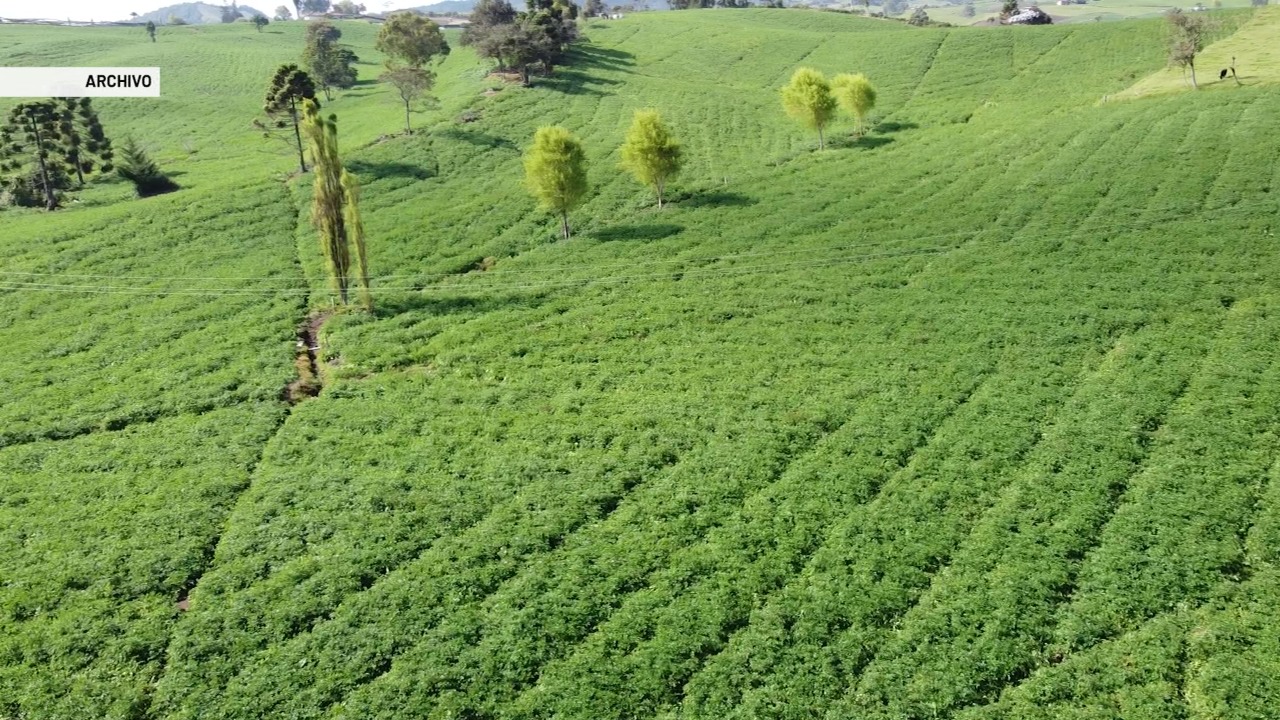 10 % creció la economía de Antioquia en el 2021