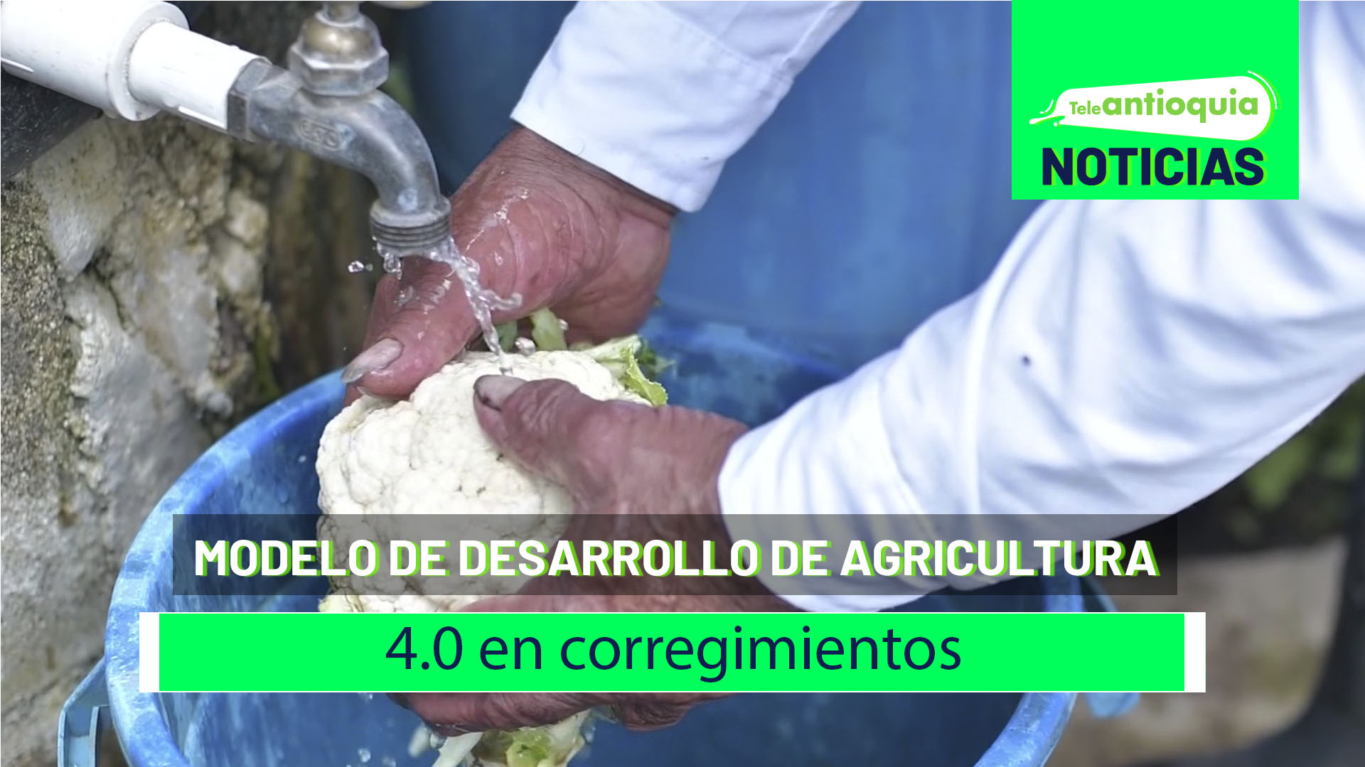 Modelo de desarrollo de agricultura 4.0 en corregimientos