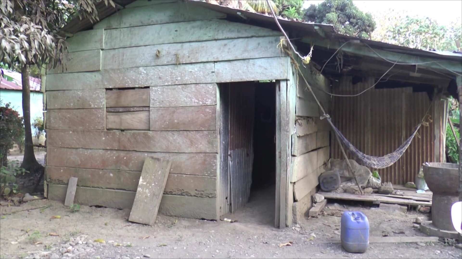 Muere hombre de 72 años por ataque de abejas africanizadas