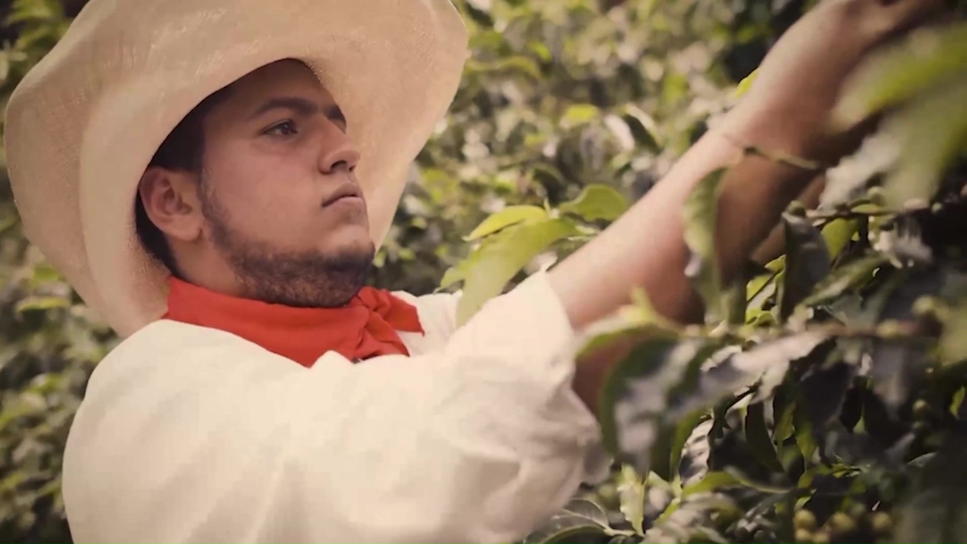 ‘Nuestra Tierra’ nueva serie documental de Teleantioquia