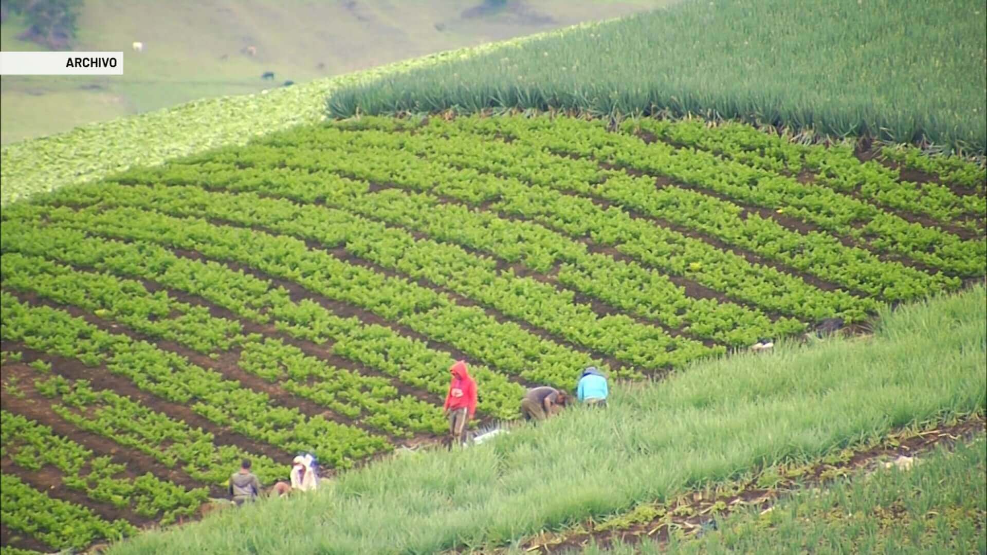 Viene escasez de fertilizantes por invasión rusa a Ucrania