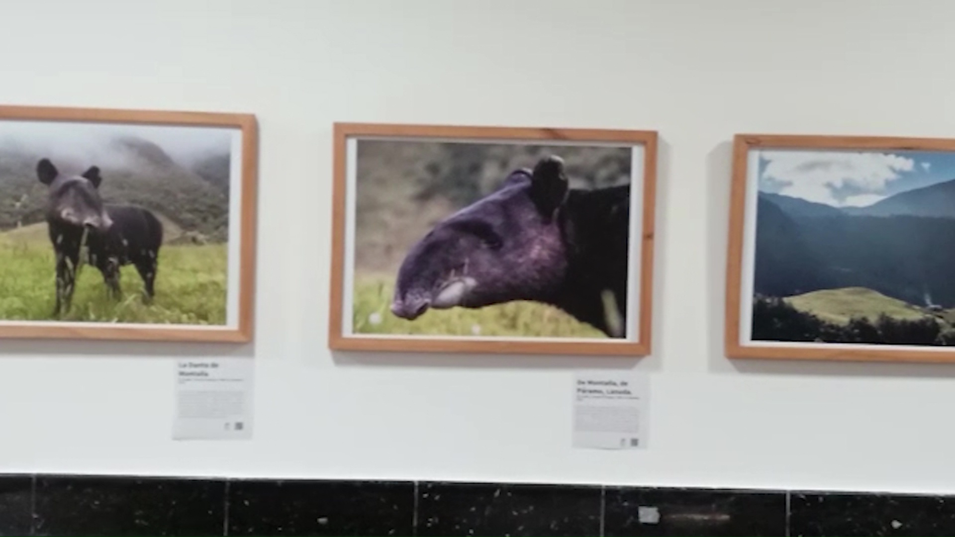 ‘El Fantasma de la Montaña’, exposición fotográfica