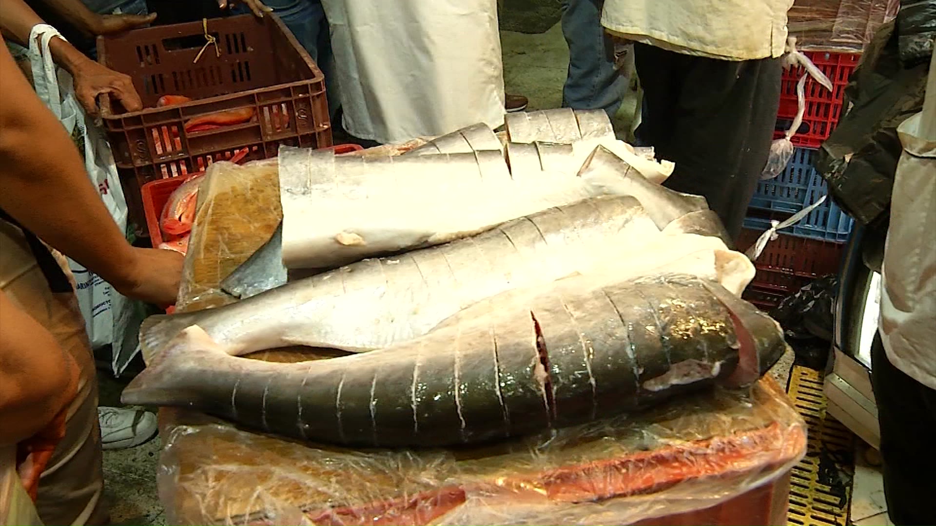 56 % de los encuestados no come pescado por altos costos