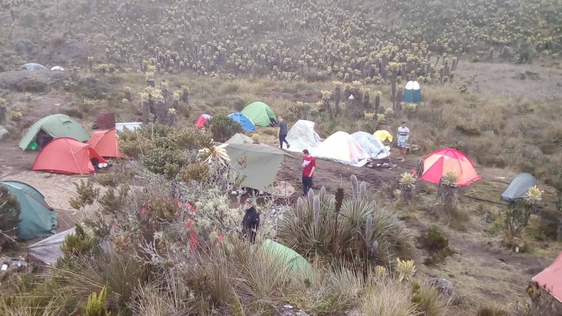 Denuncian turismo dañino en Páramo del Sol