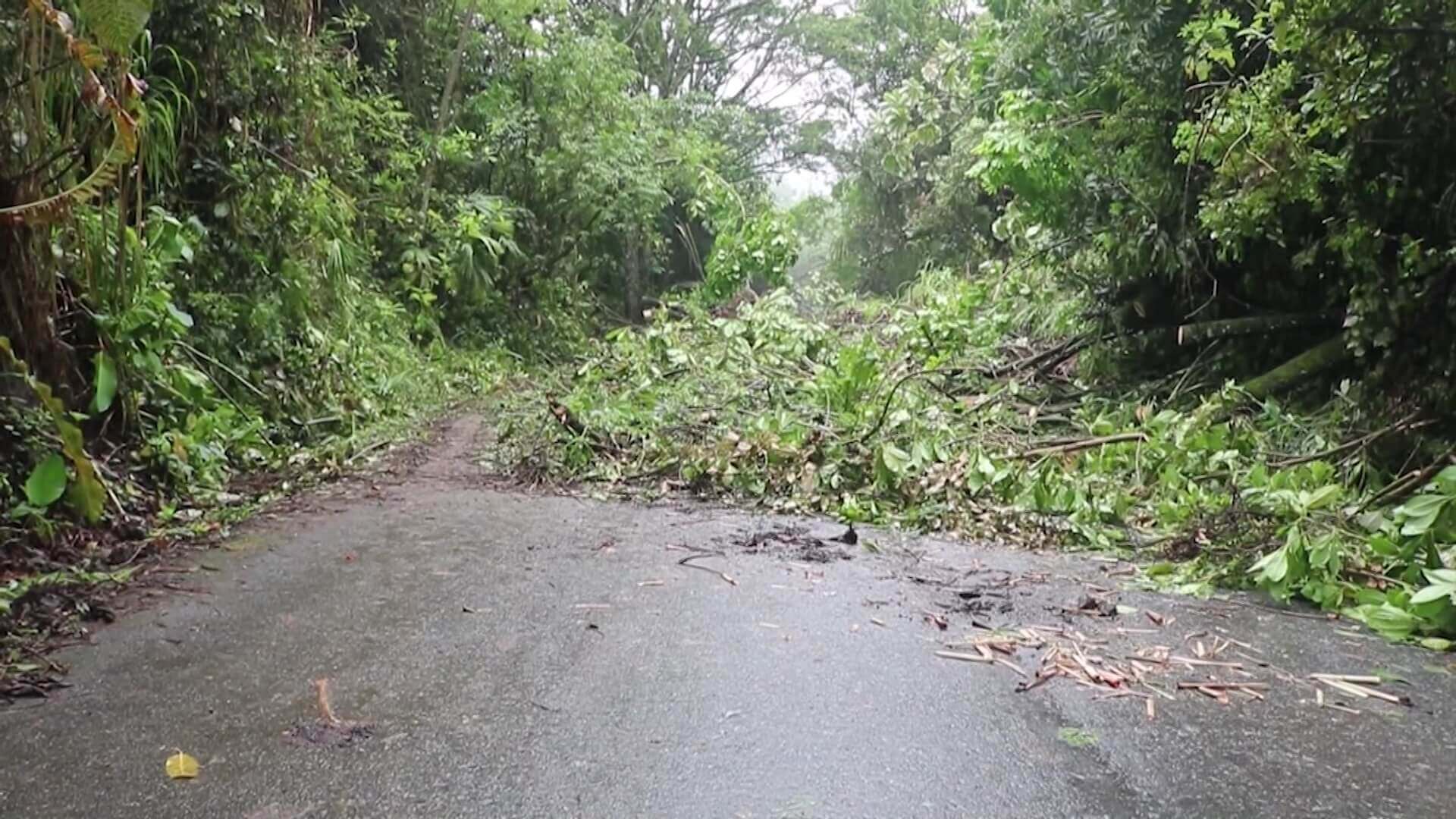 Derrumbes afectan tránsito hacia Puente Iglesias