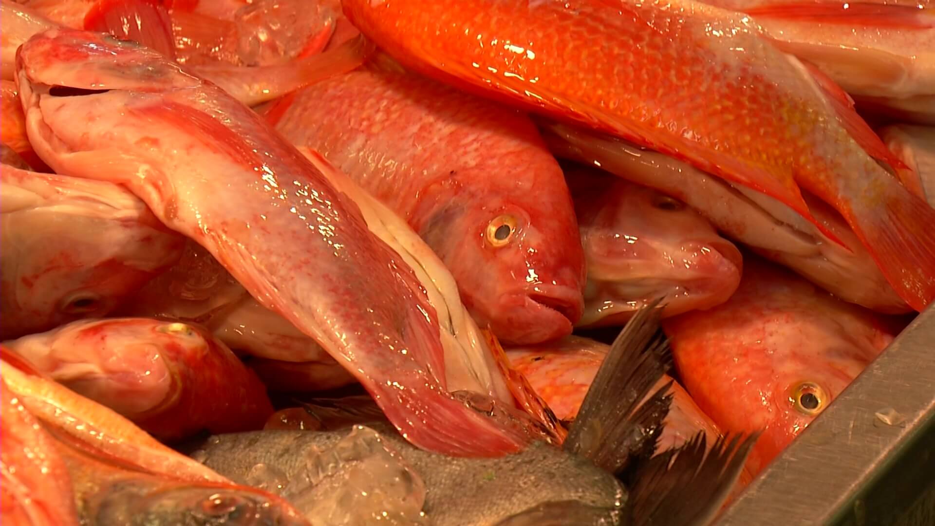 El pescado también ha subido, pero lo siguen comprando